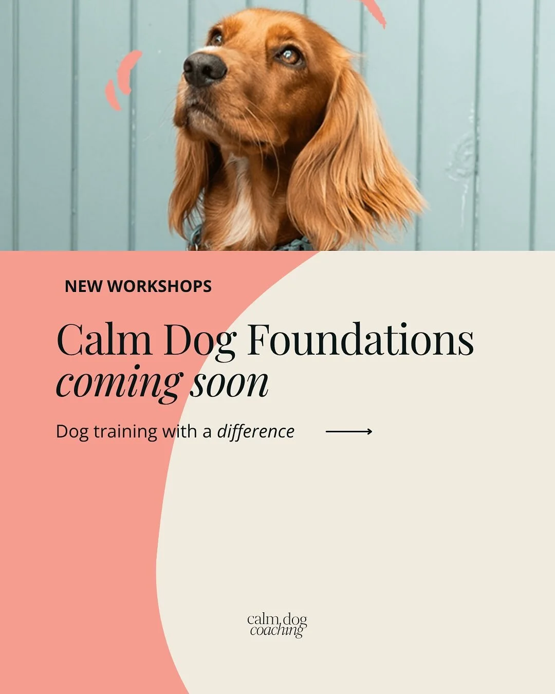 Learn simple, foundational principles you can apply straight away to unlock more calm ~ and less stress ~ in your life with your dog. 

Calm Dog Foundations workshops will be available in group or 1:1 sessions, online or in person in the Kendal area.