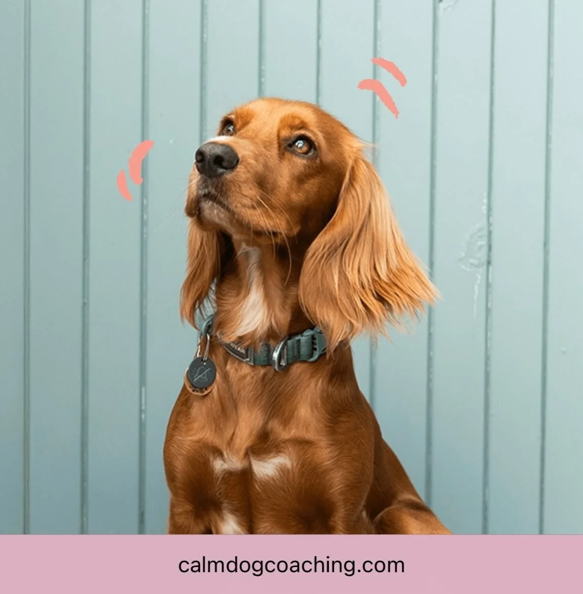 LIVE! Our newly designed and rebranded website is now live - link in bio.

If you&rsquo;re curious please take a look around ~ and if you have any questions, or think I can help you - get in touch :). 

My aim is to bring humans together in small gro