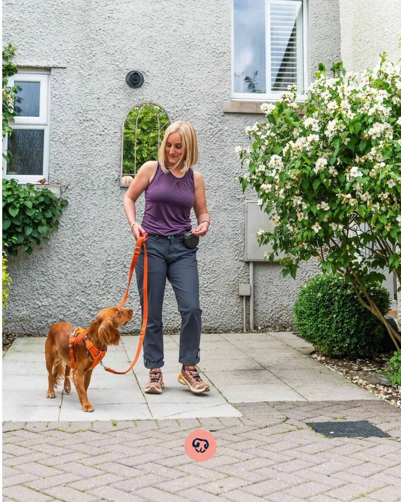 🎉 LAUNCH GIVEAWAY! 🎉 

Want to win a 90 minute coaching session with me ~ and a fabulous treat hamper? 

To celebrate the re-launch of Calm Dog Coaching, I&rsquo;m giving one lucky dog guardian a chance to win something special&hellip;

 🎁 A 1:1 C