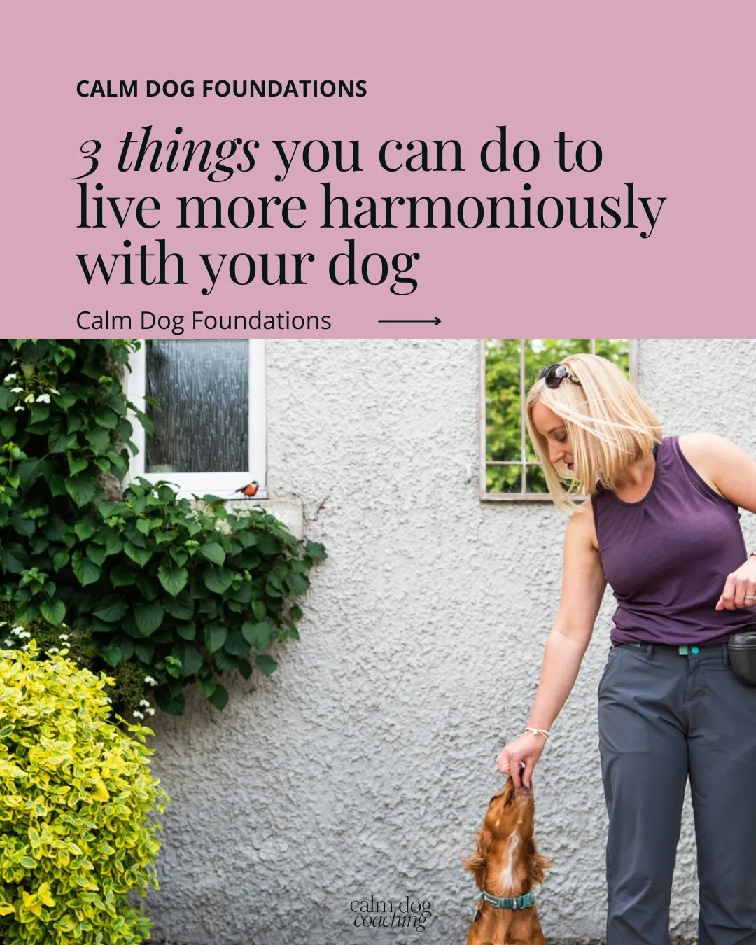 📸: @jennyjonescommercial