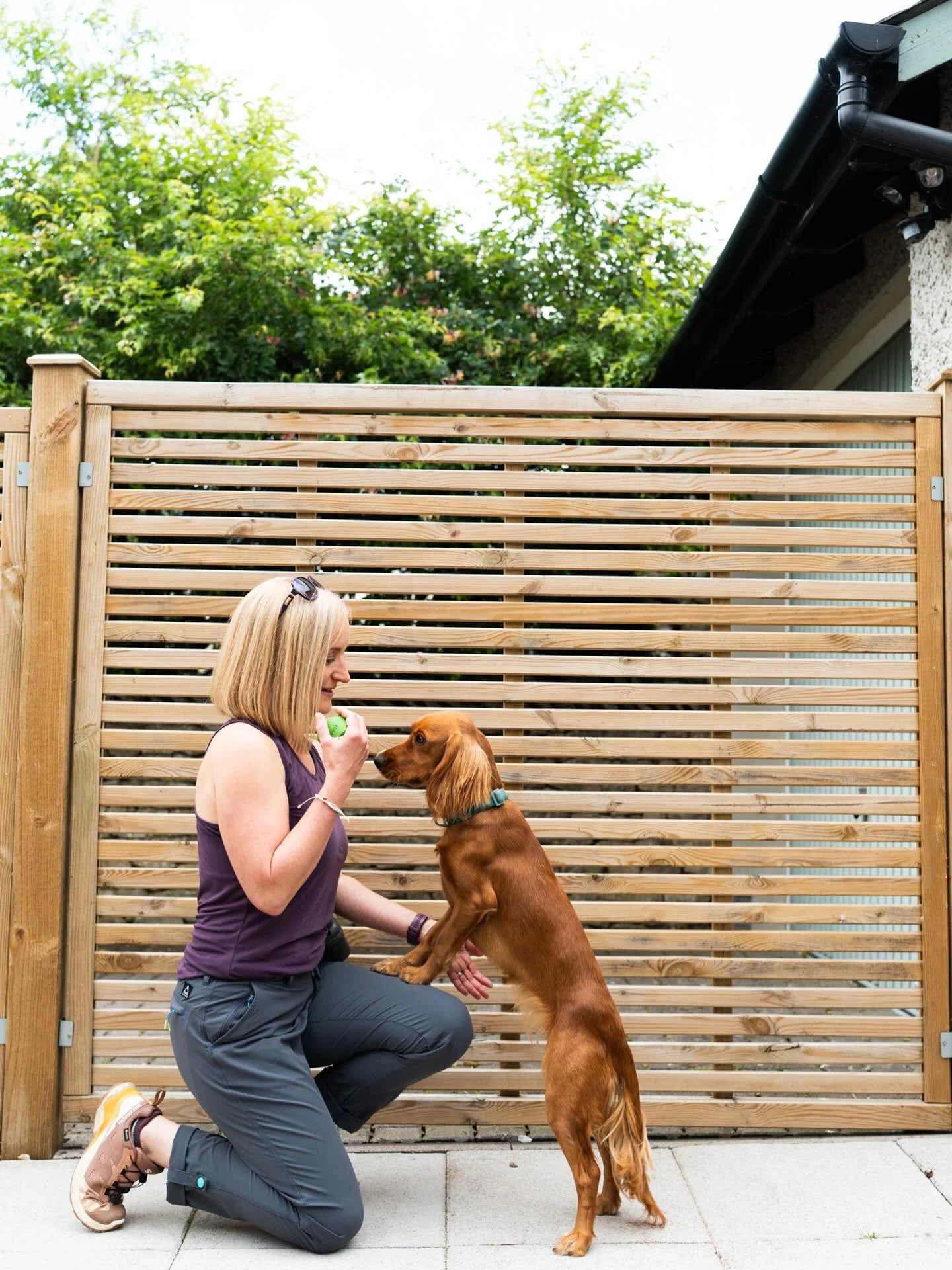 Can our dogs generalise?

A lovely client and I were talking about the idea that &ldquo;dogs don&rsquo;t generalise,&rdquo; often said as if it&rsquo;s a flaw.

But what do we actually mean by that? 
 
Usually, we want our dogs to transfer behaviour 