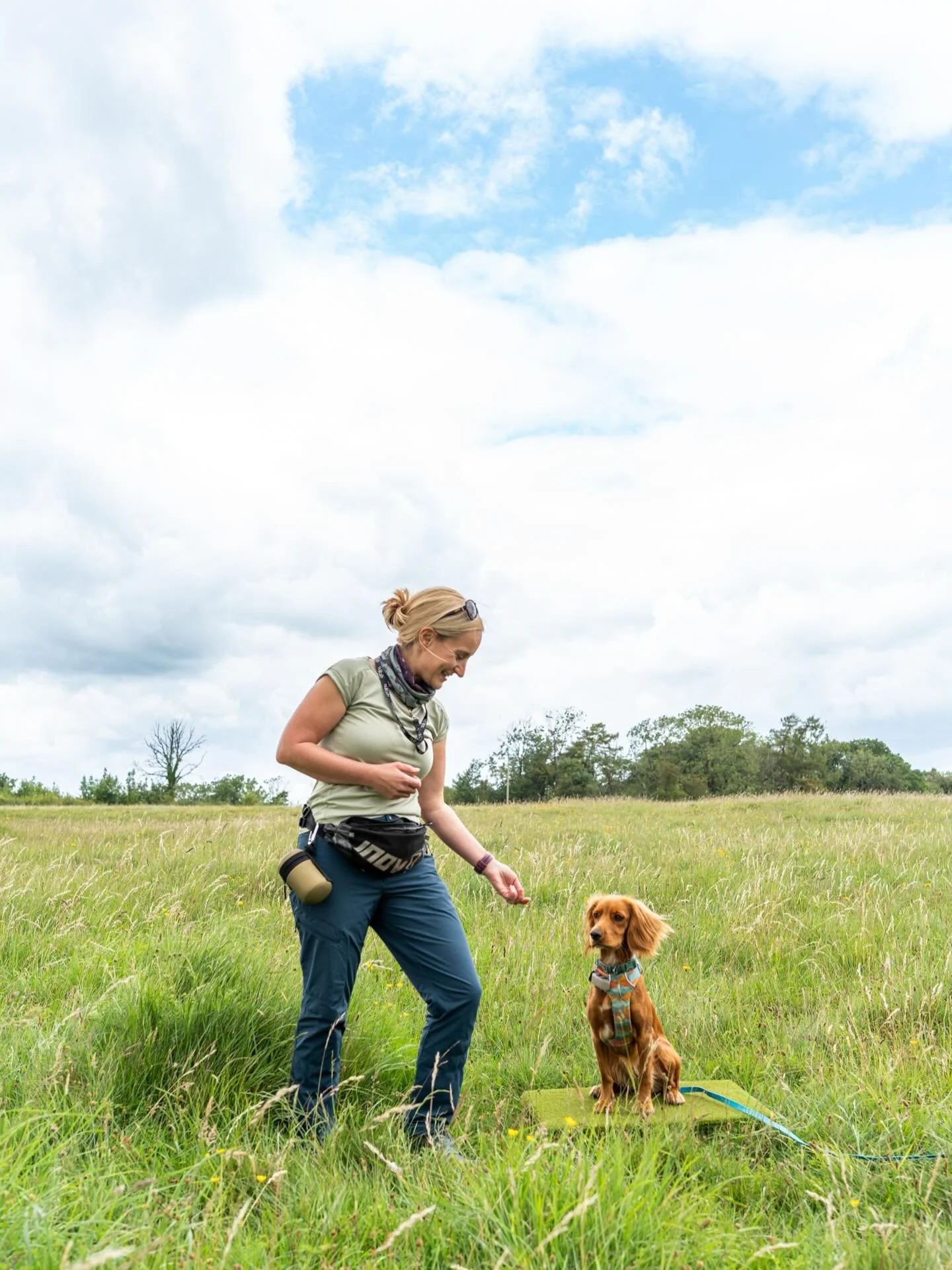 Want to change your dog&rsquo;s behaviour? Try this... 
 
&ldquo;Your dog becomes more of what they do every day.&rdquo;
 
The more your dog gets to do something the more likely they are to keep repeating it. 

Say your dog jumps up at visitors, bark