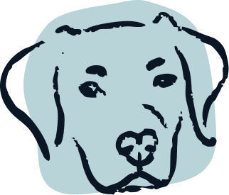 Drawing of a dog with floppy ears and expressive eyes.