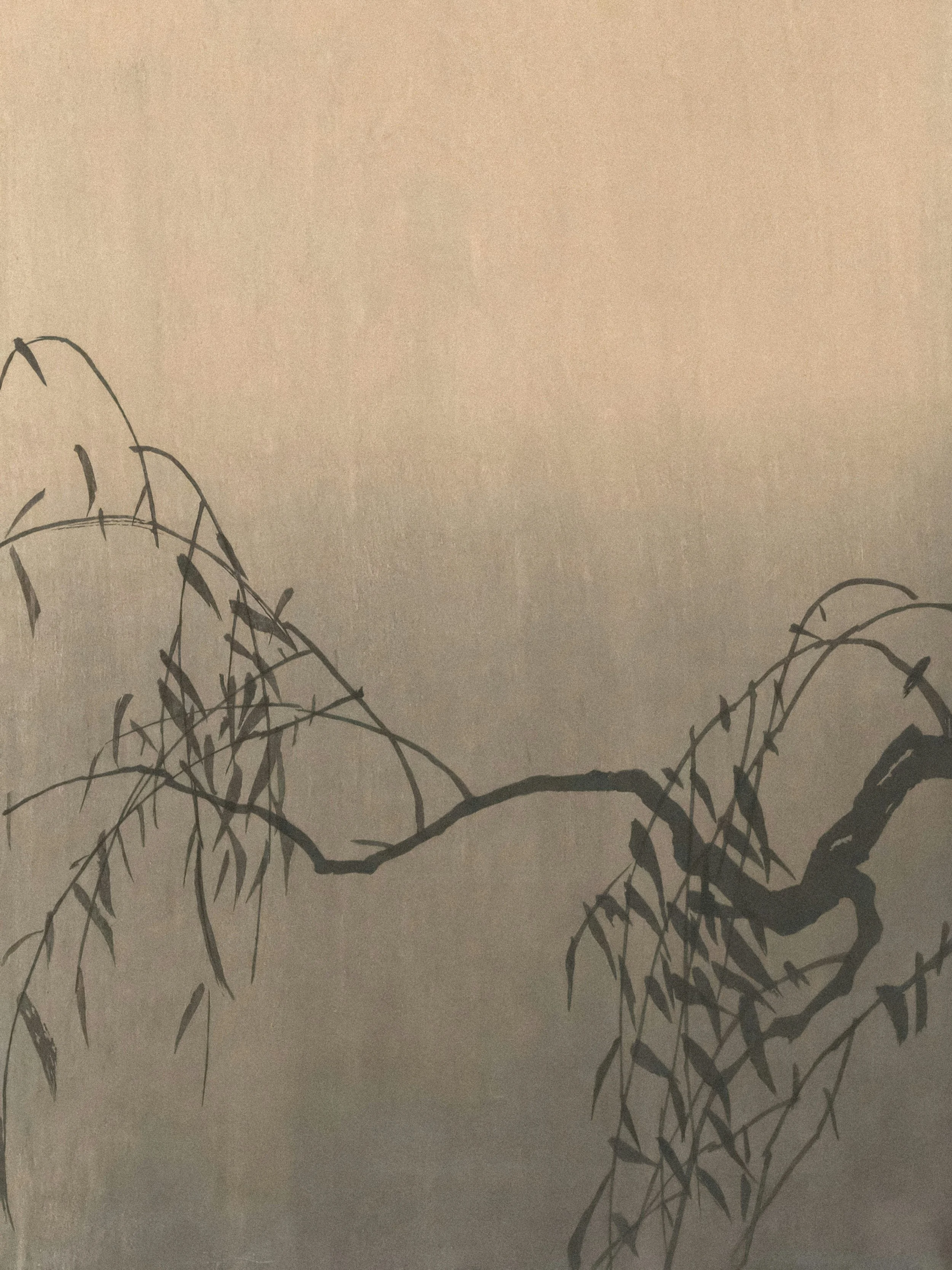 Yin Yoga - Mittwoch, 07.10 / 18.45 - 20.00 Uhr