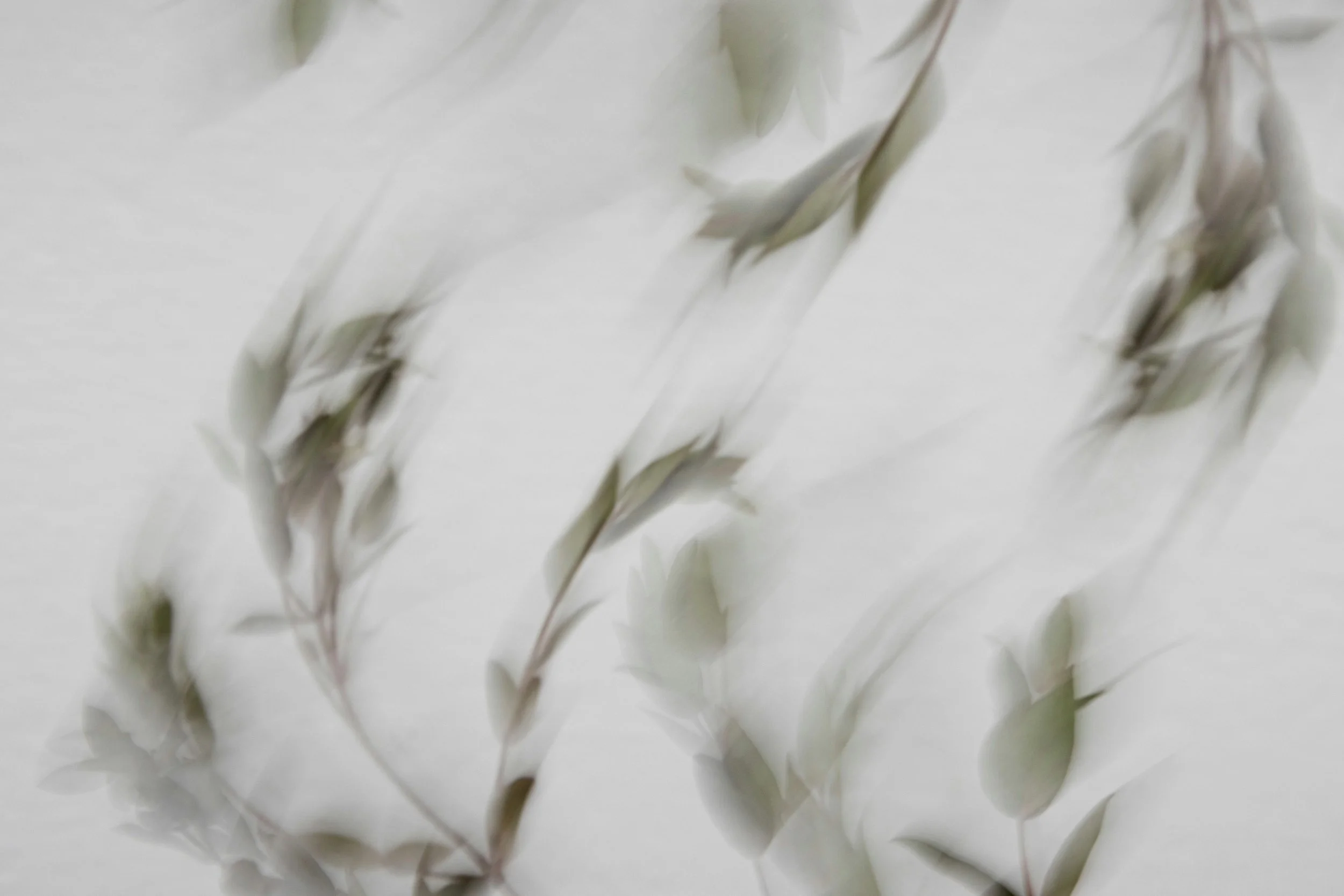 Yin Yoga - Mittwoch, 11.11 / 18.45 - 20.00 Uhr