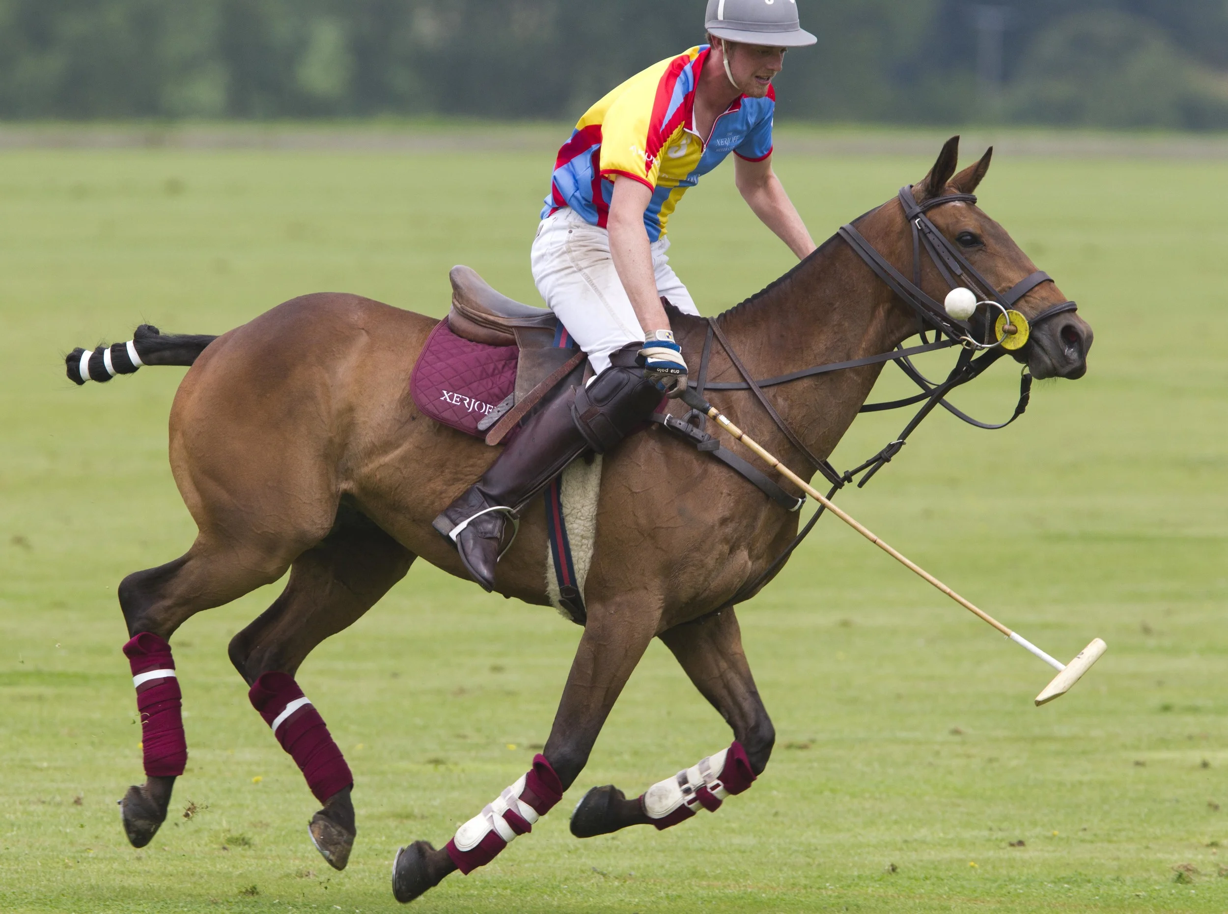 cspa072214069 copy.JPG