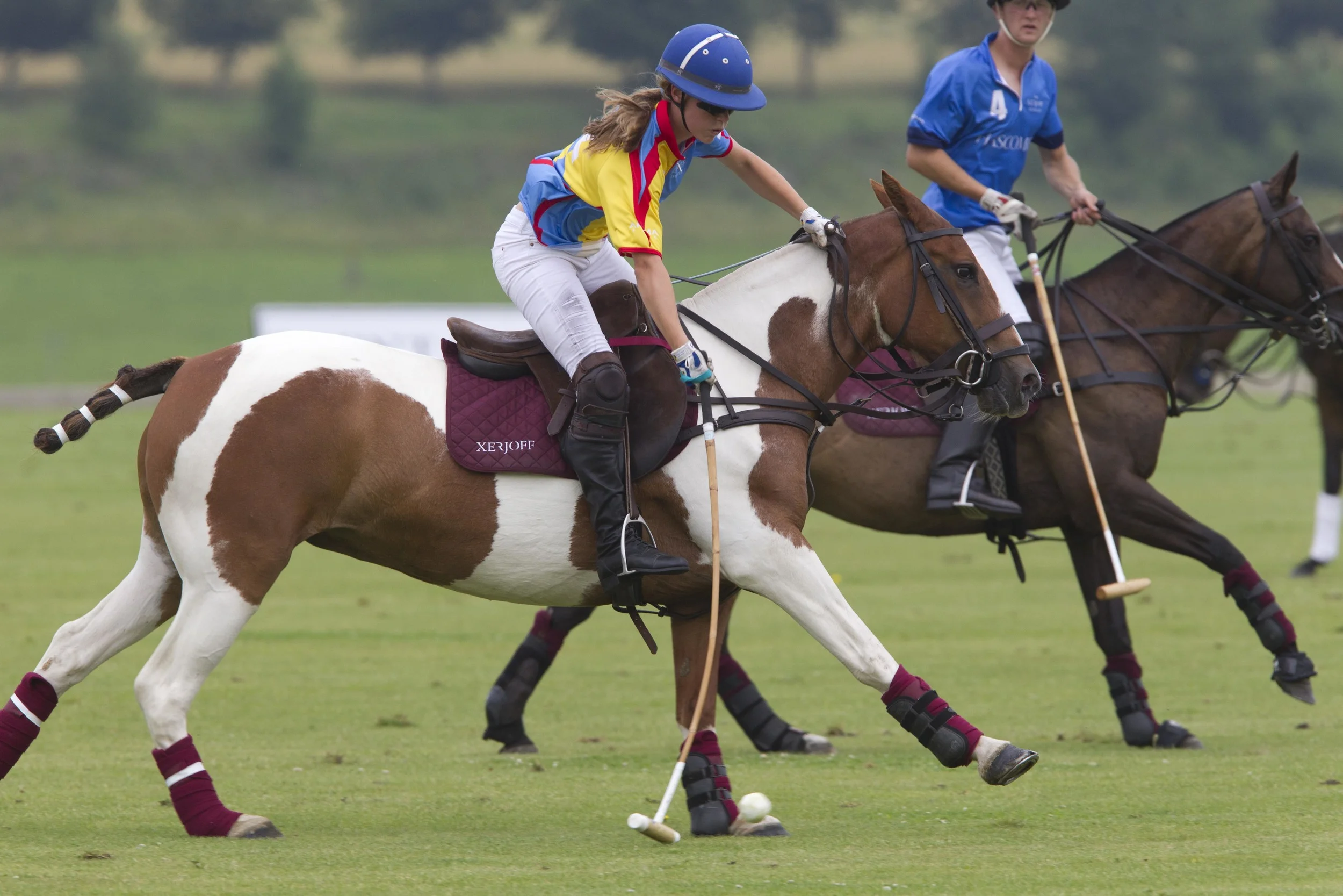 cspa072214056 copy.JPG