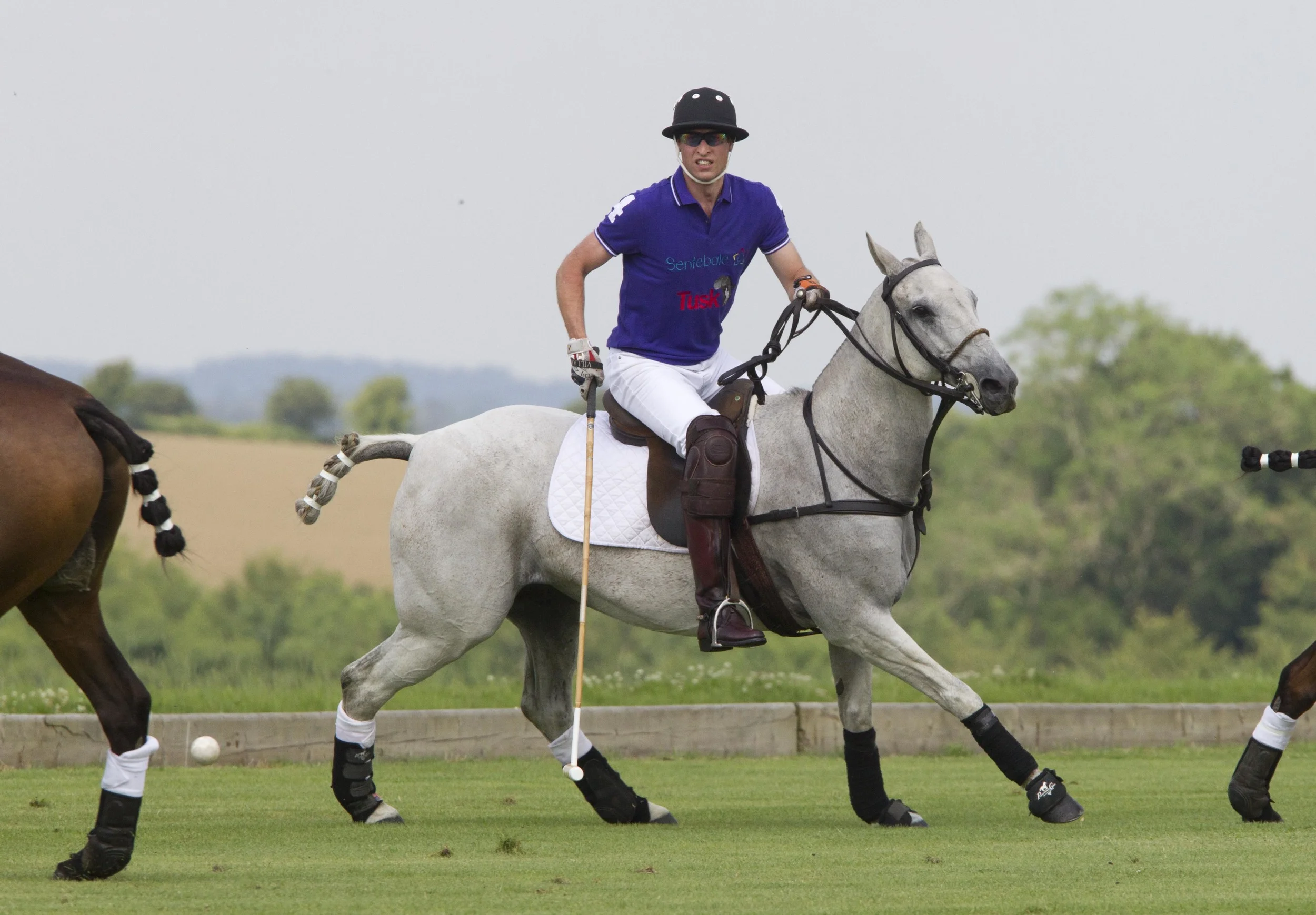 cspb072114053 copy.JPG