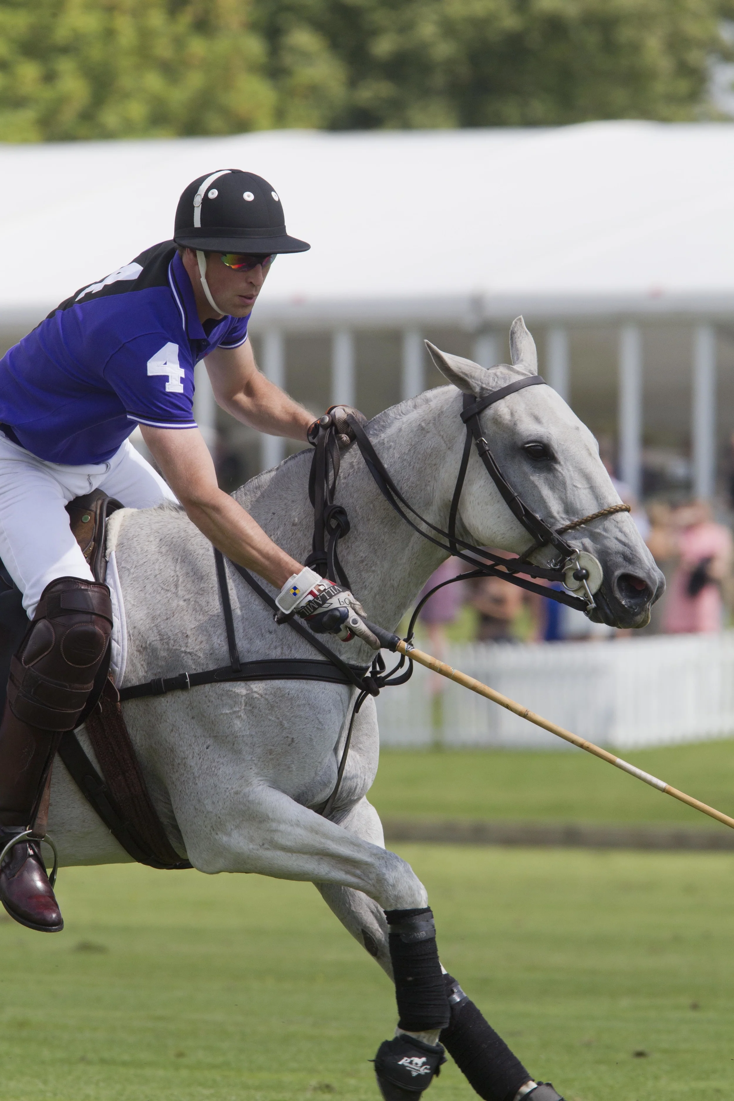 cspb072114033 copy.JPG