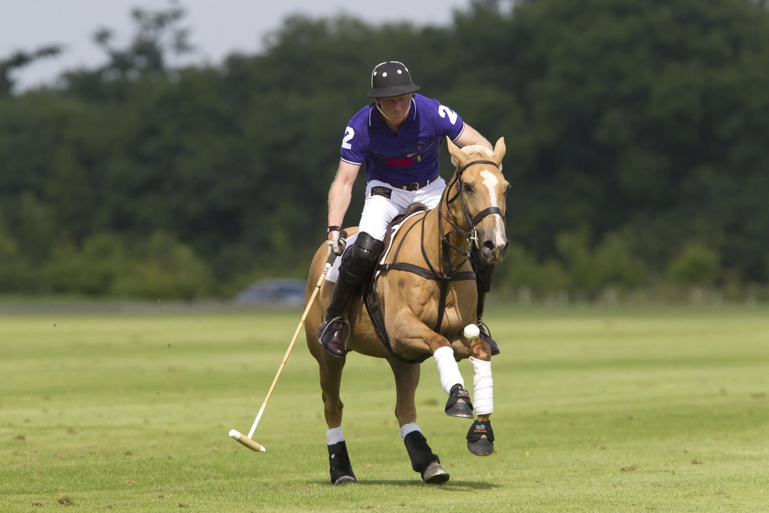 cspb072114079 copy.JPG