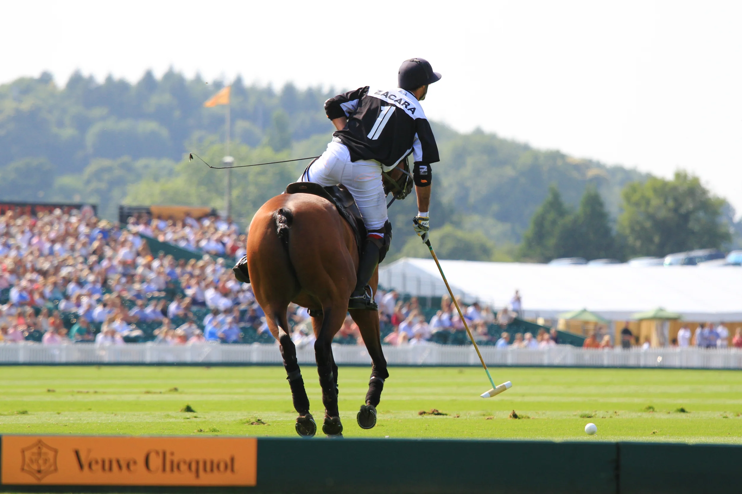 21_07_13_A  216.jpeg