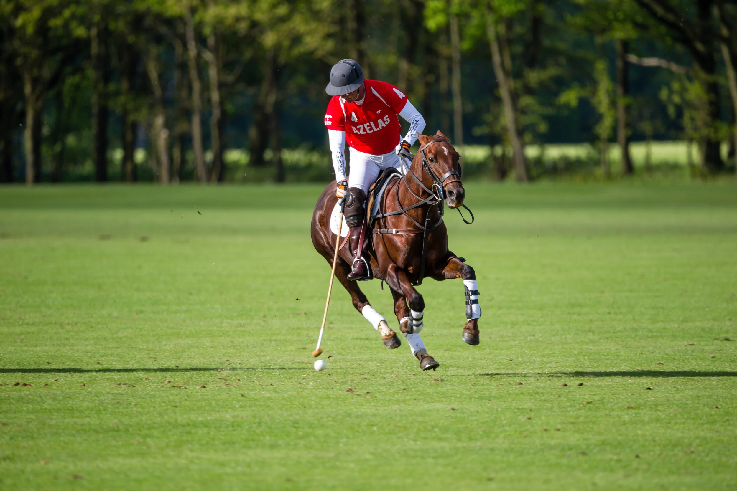 20140511-Dominic-James-de-beers-polo-AG3A7915.jpg