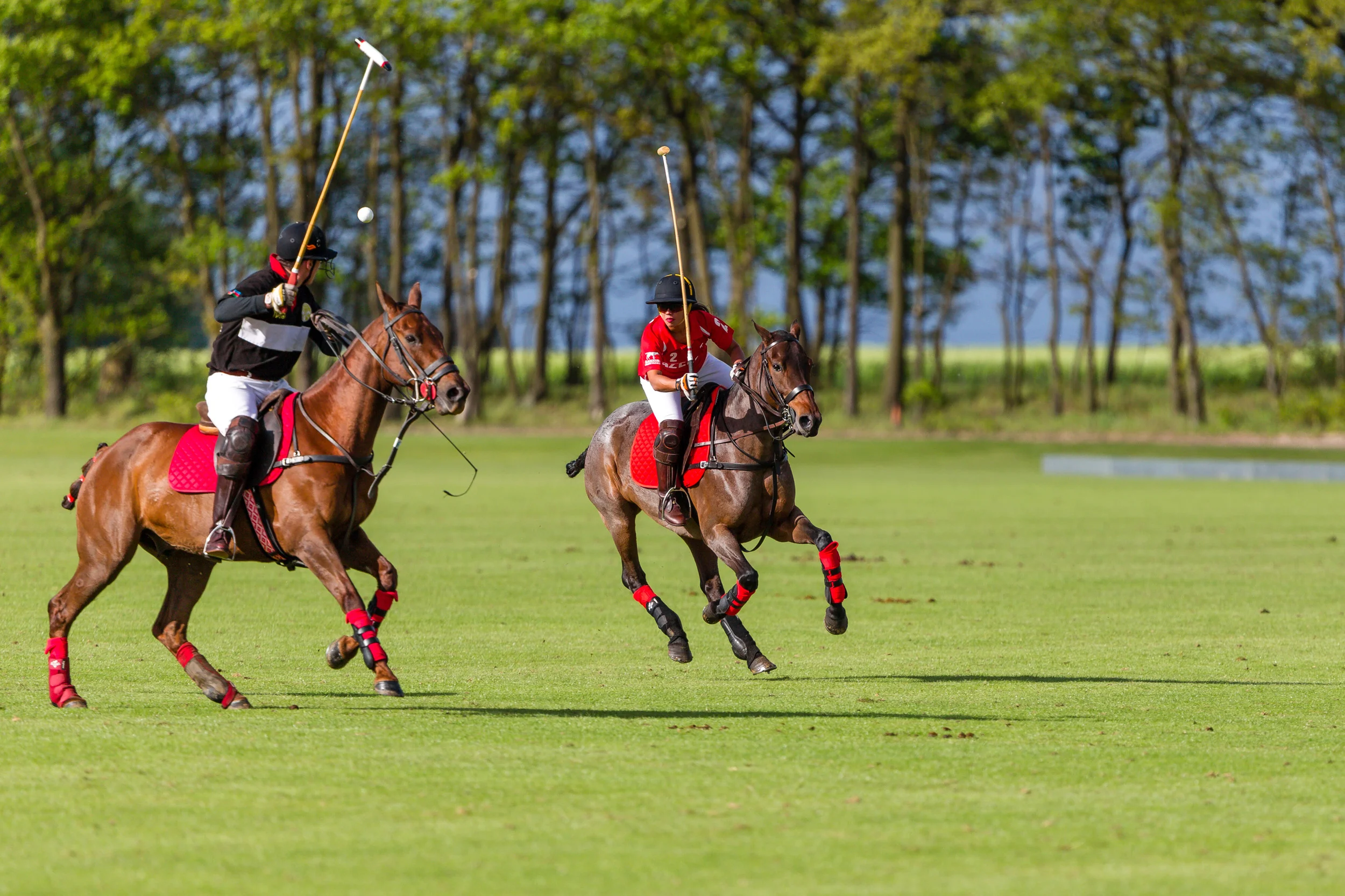 20140511-Dominic-James-de-beers-polo-AG3A7734.jpg