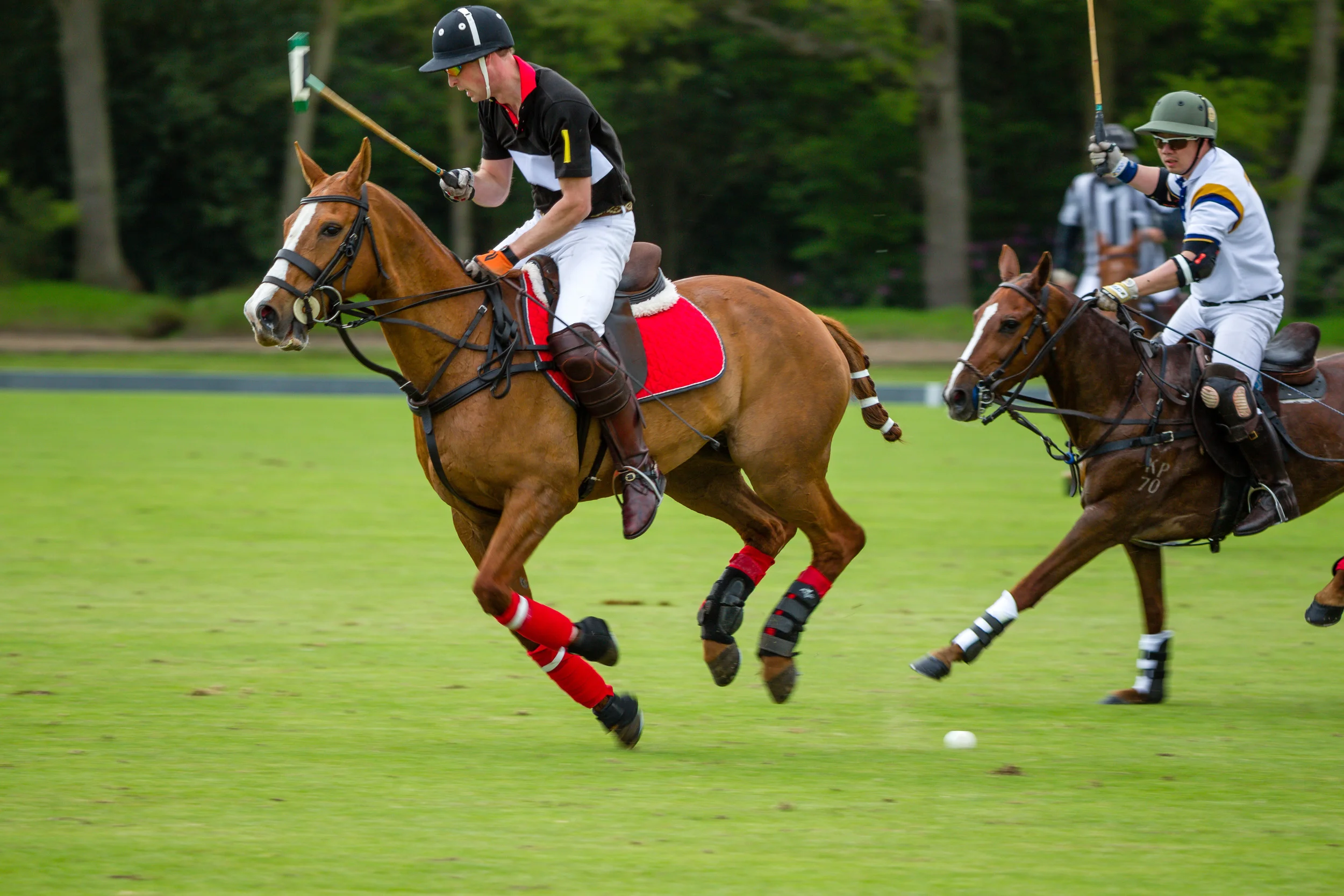 20140511-Dominic-James-de-beers-polo-AG3A7524.jpg