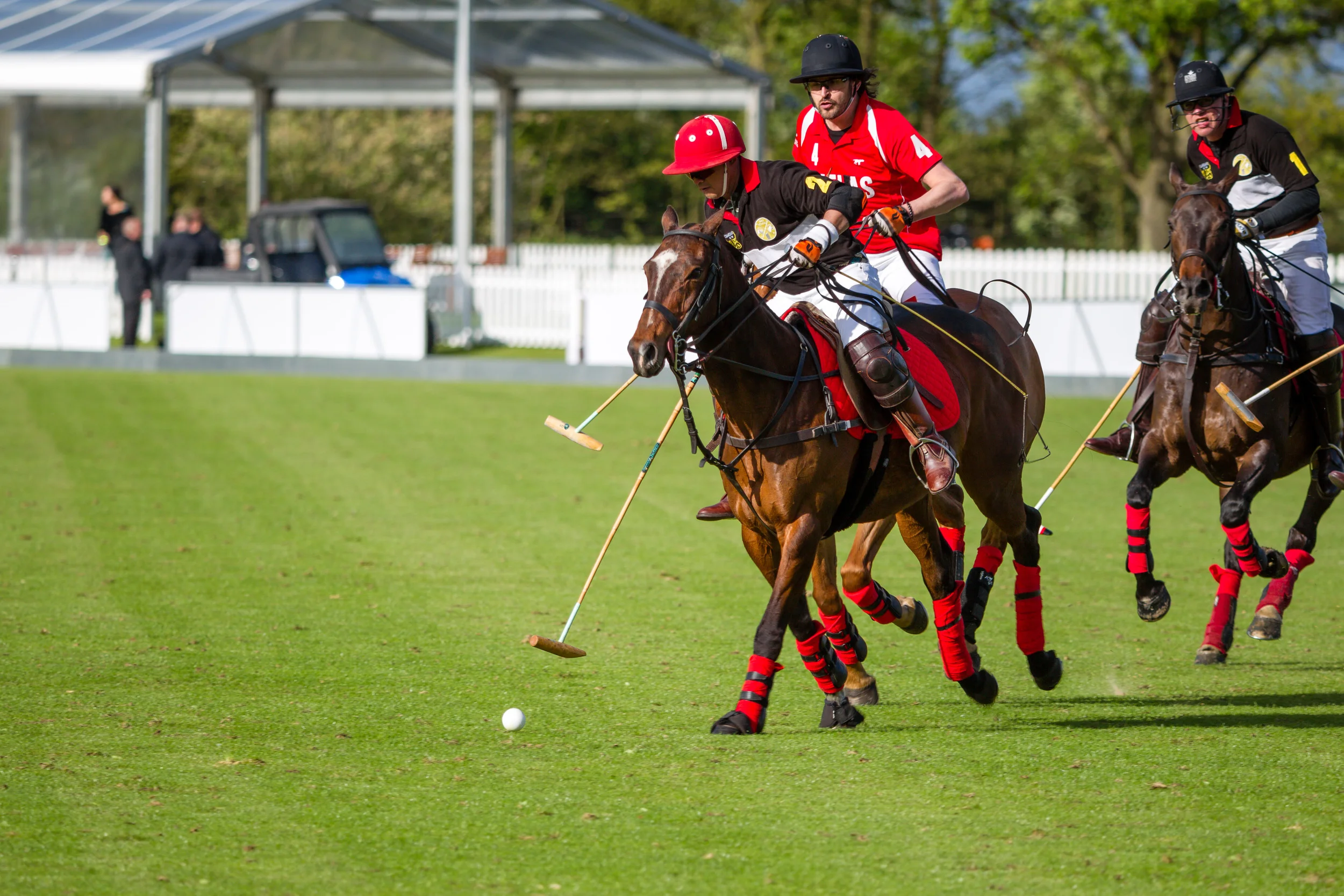 20140511-Dominic-James-de-beers-polo-AG3A7979.jpg