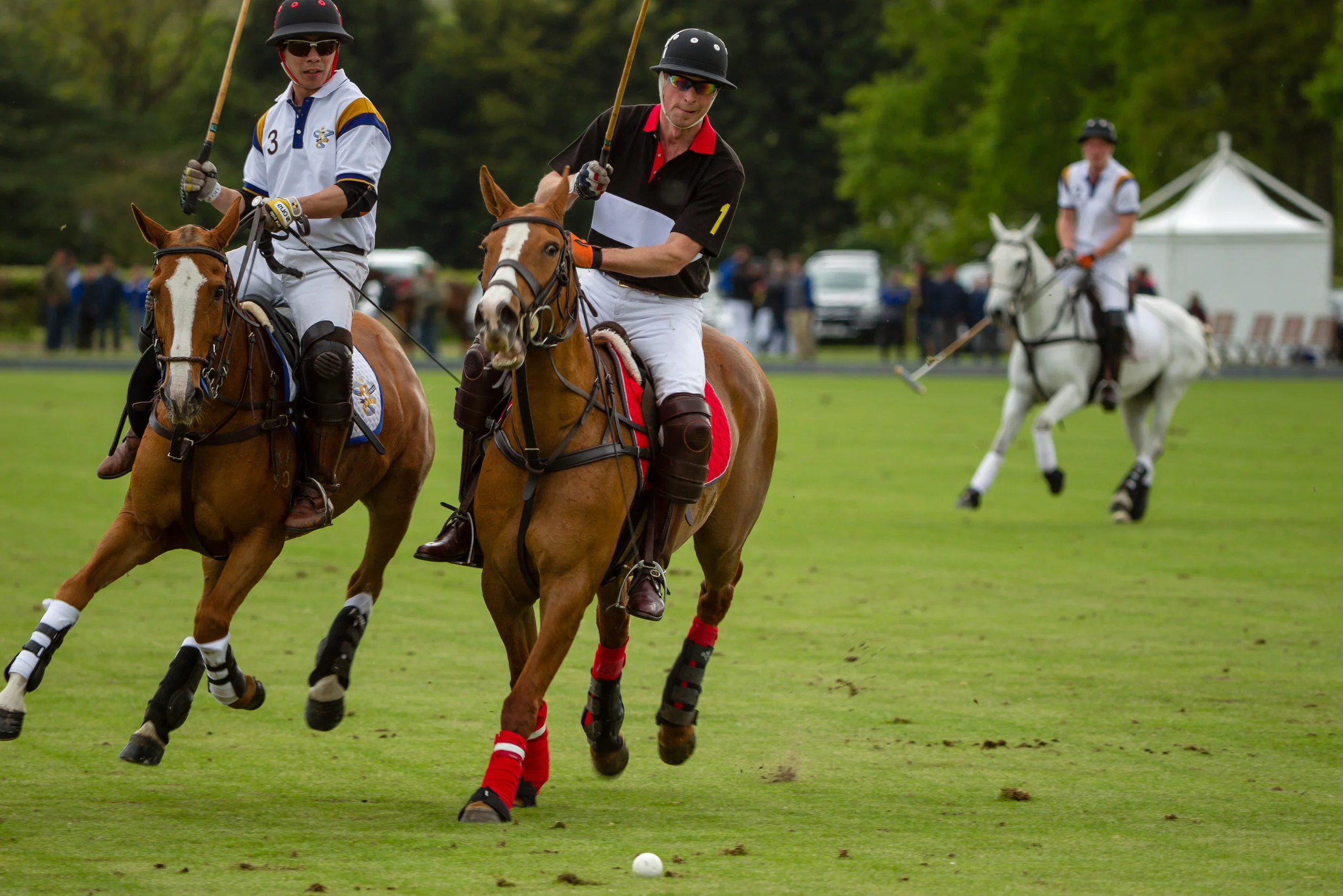 20140511-Dominic-James-de-beers-polo-AG3A7575.jpg