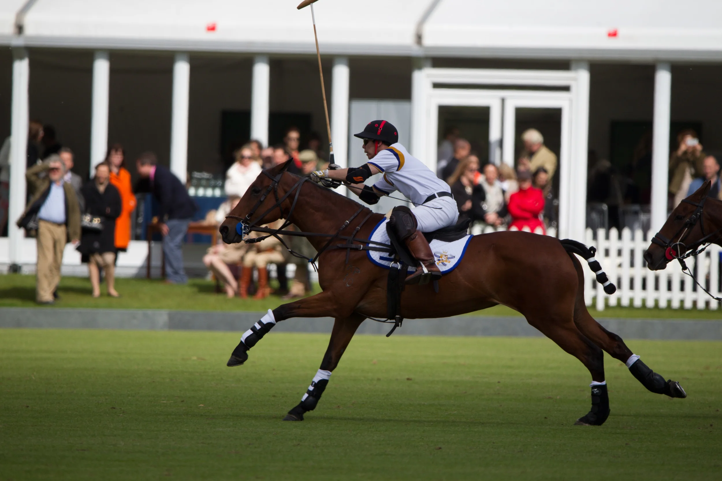 20140511-Dominic-James-de-beers-polo-AG3A6500.jpg