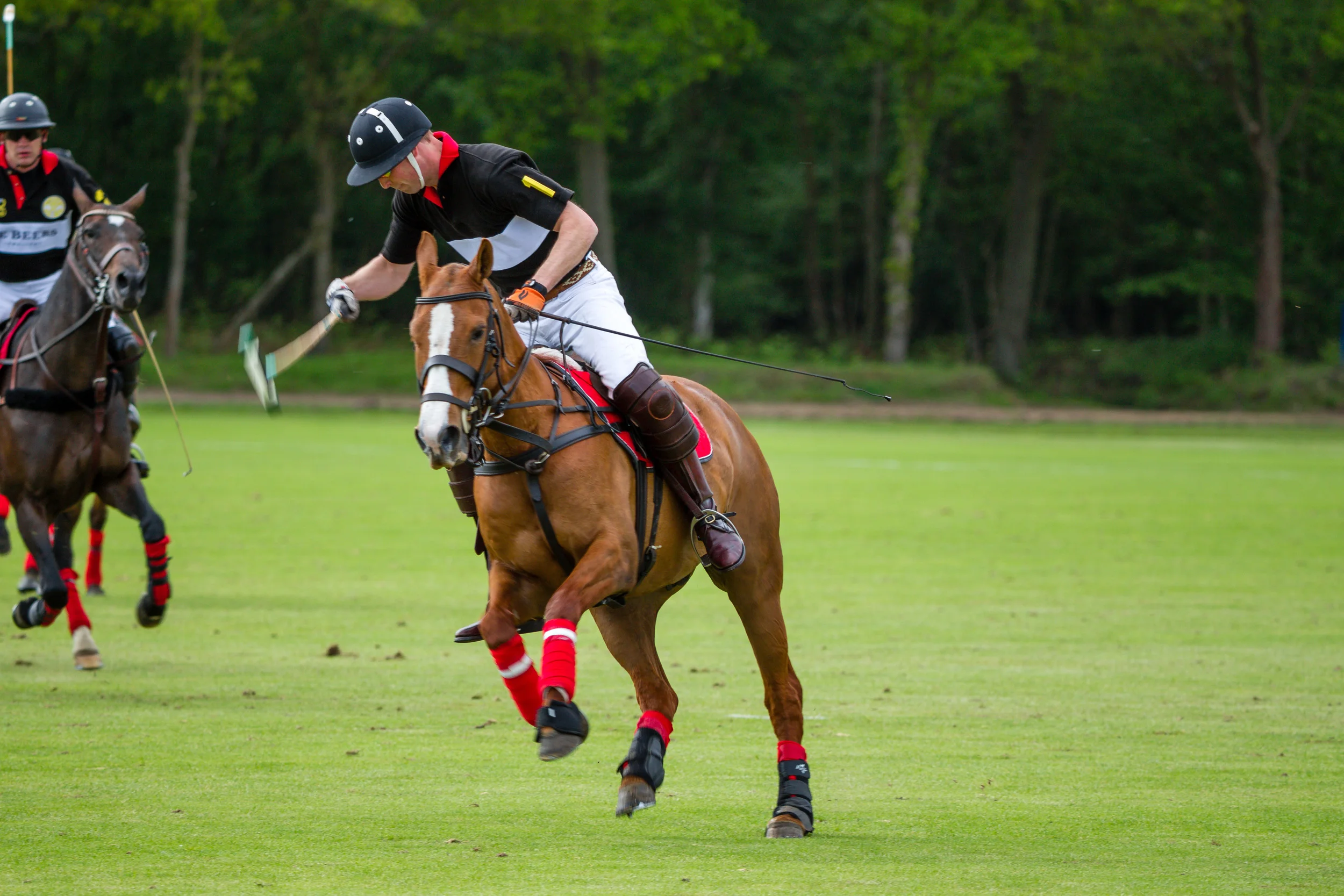 20140511-Dominic-James-de-beers-polo-AG3A7444.jpg