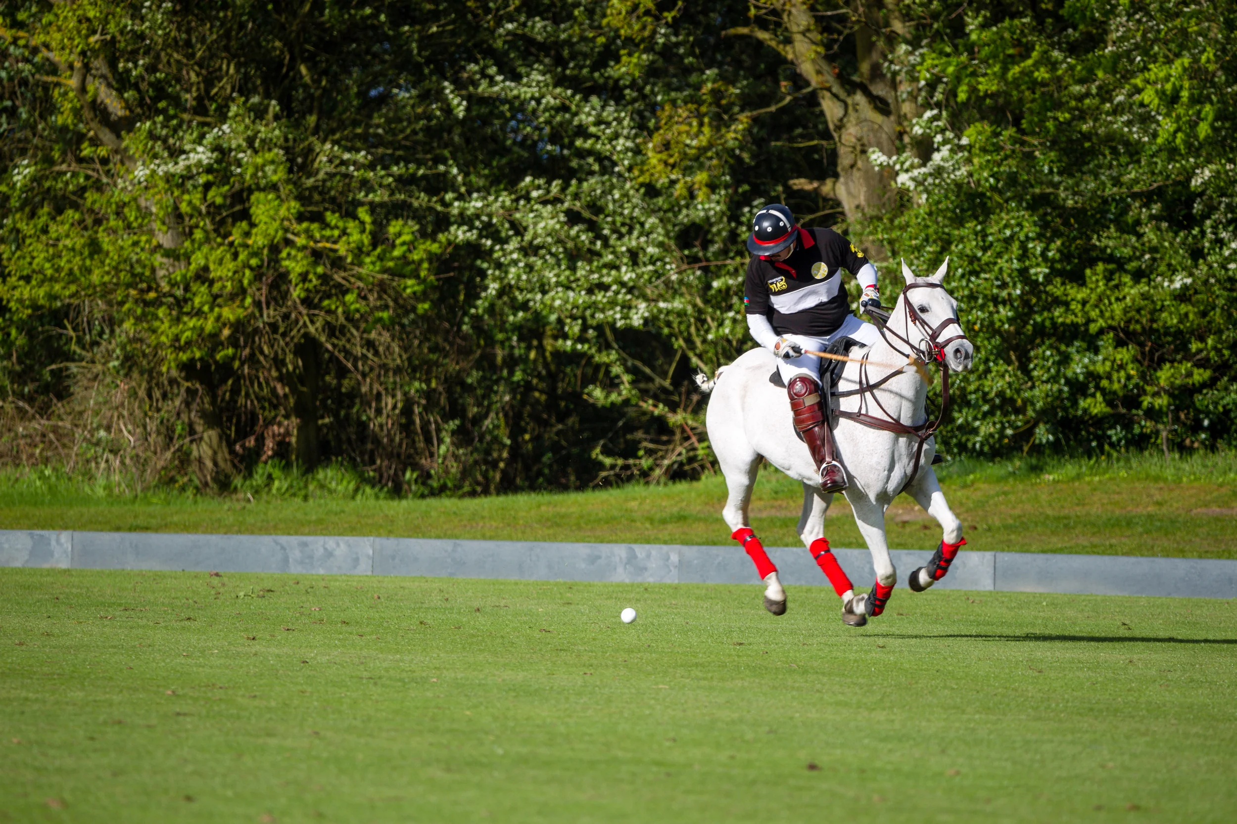 20140511-Dominic-James-de-beers-polo-AG3A7972.jpg