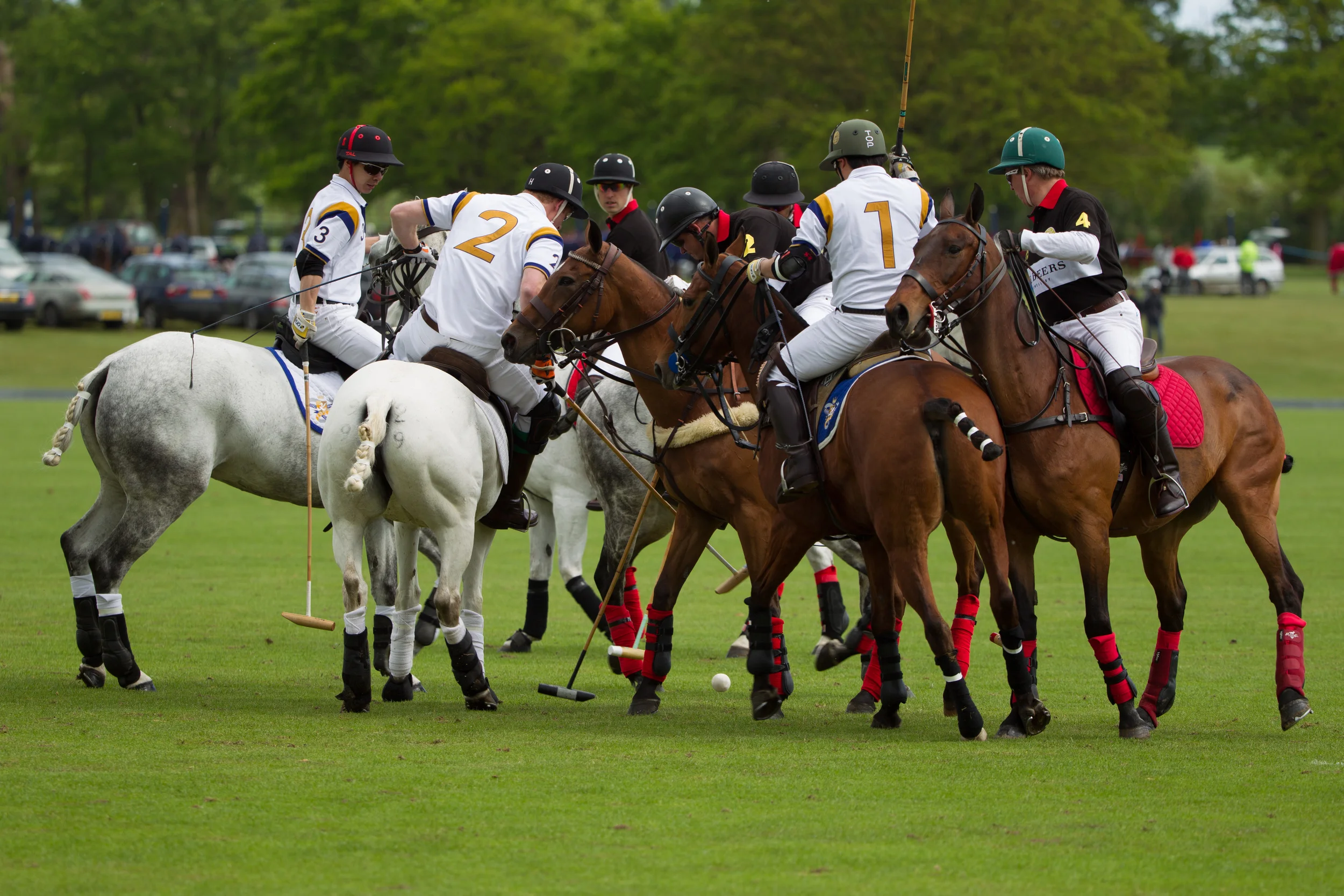 20140511-Dominic-James-de-beers-polo-AG3A6023.jpg
