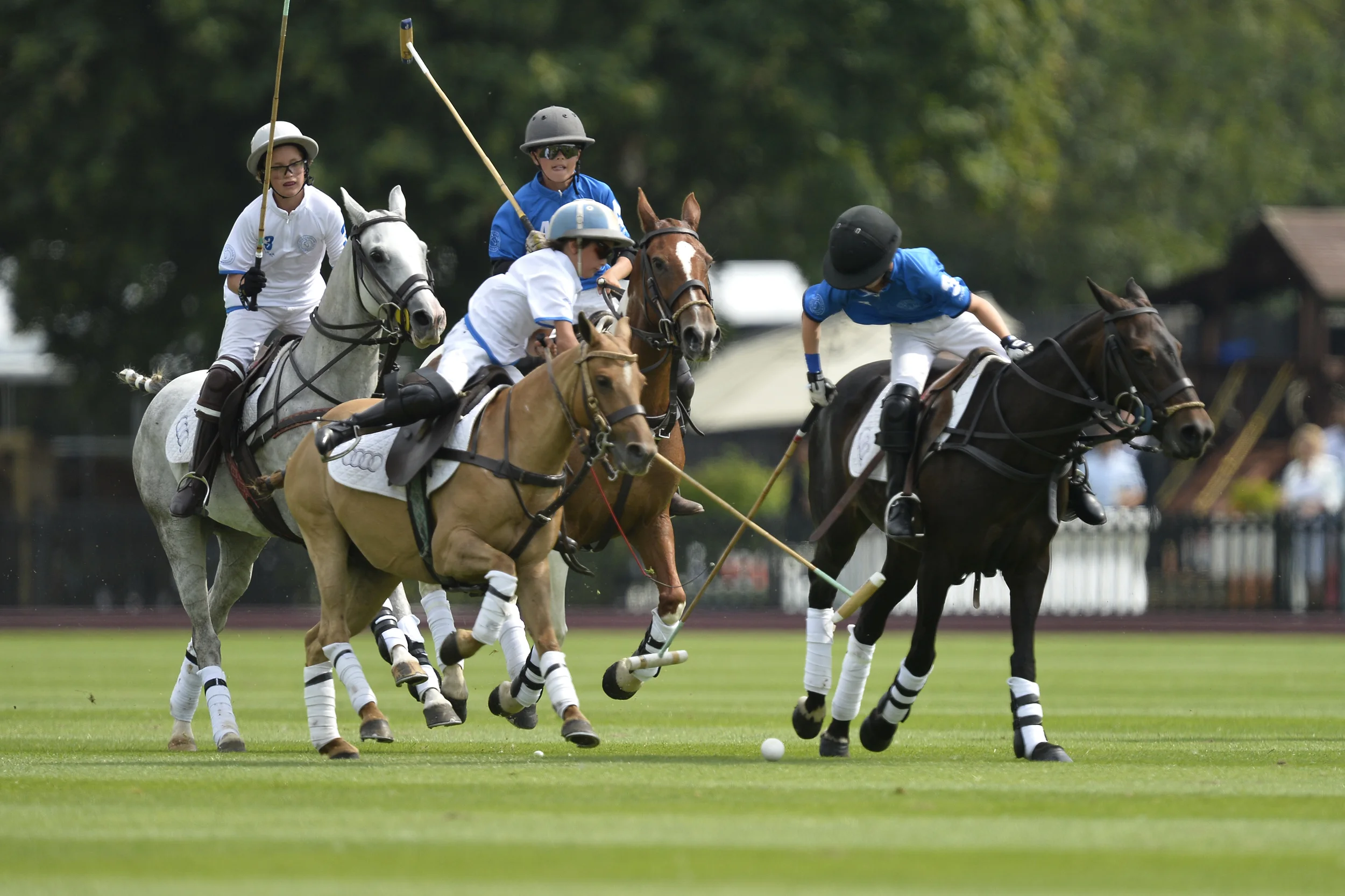 26_07_14 M 1286 copy.JPG