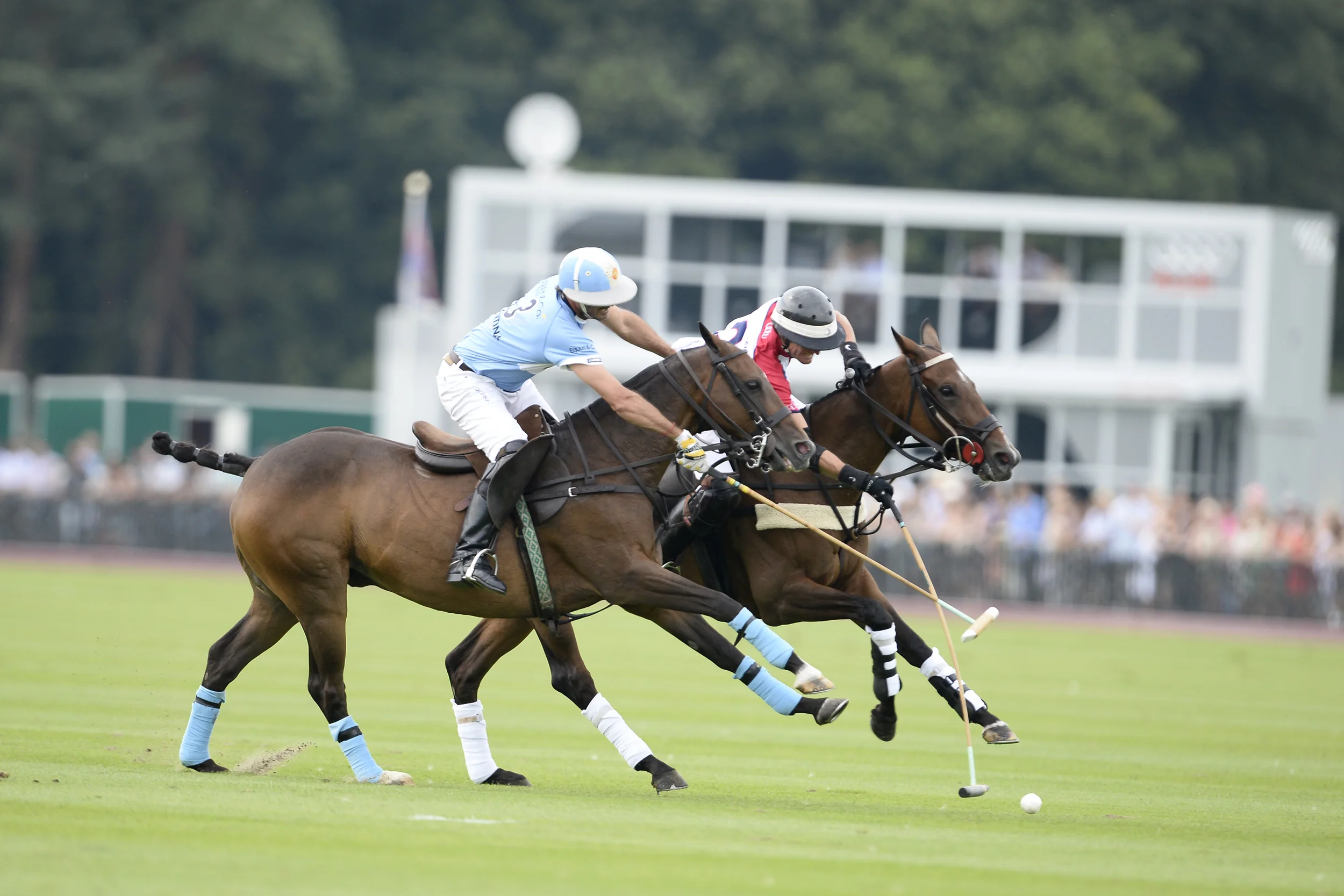 26_07_14 0853 copy.JPG