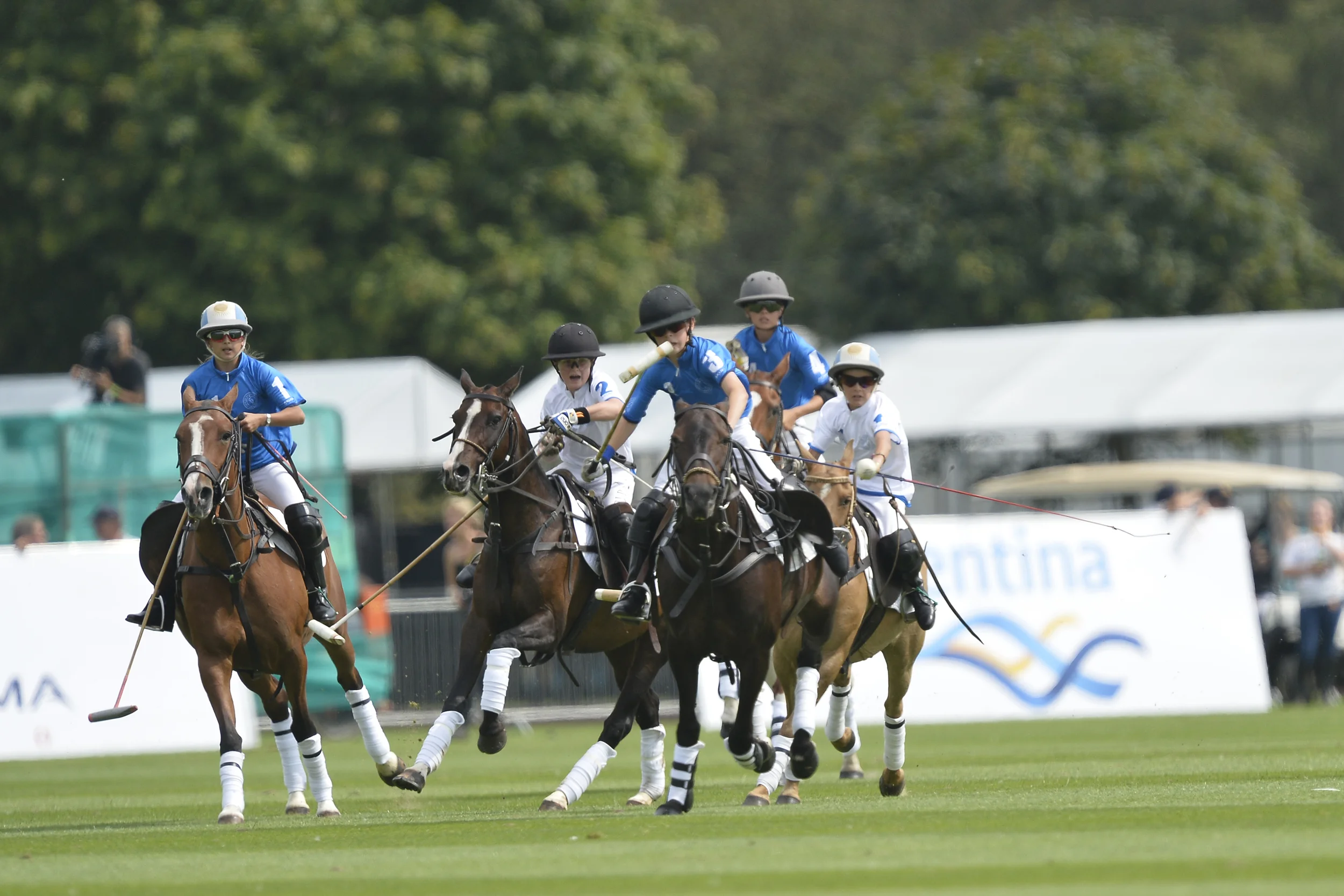 26_07_14 M 1119 copy.JPG