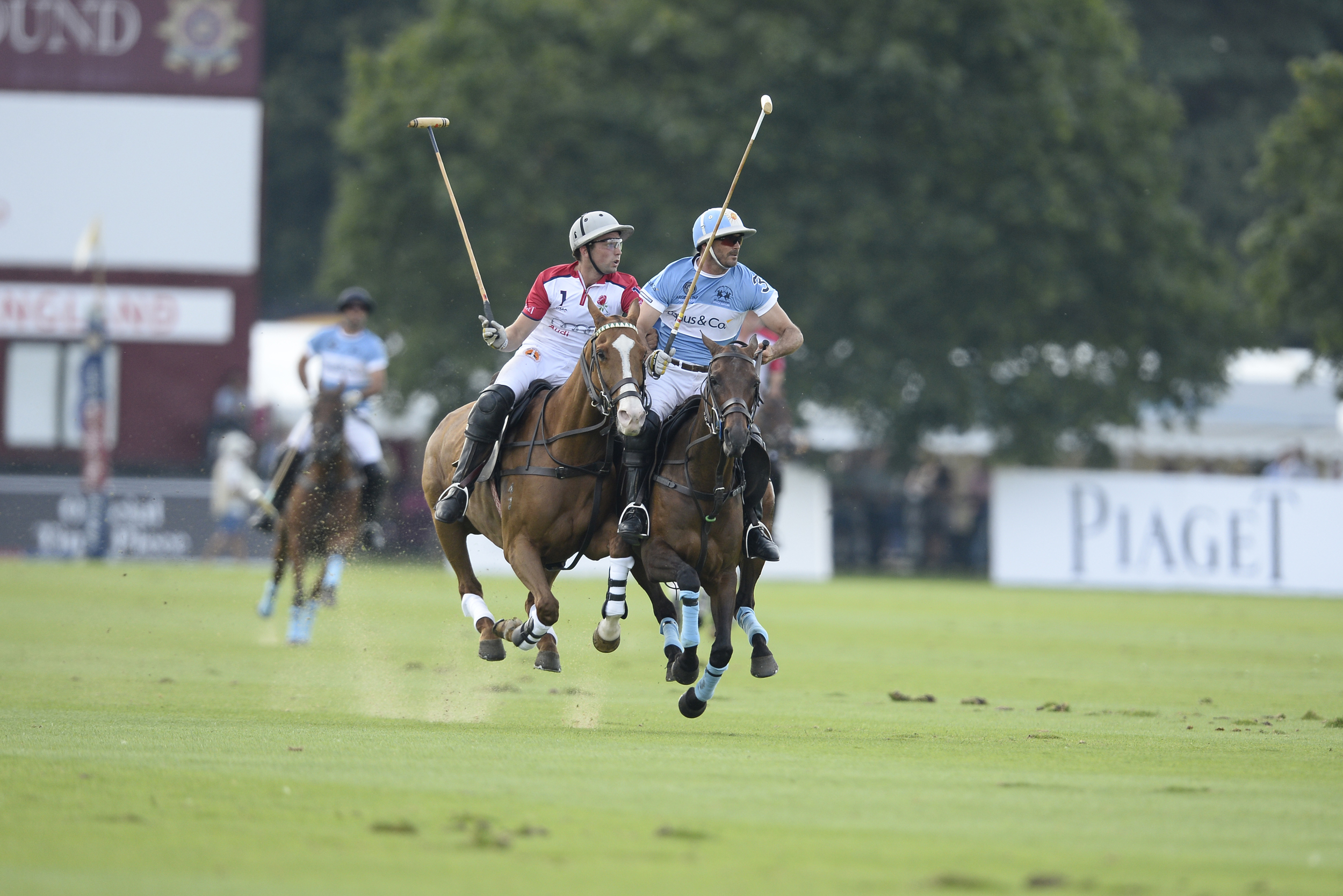 26_07_14 1569 copy.JPG