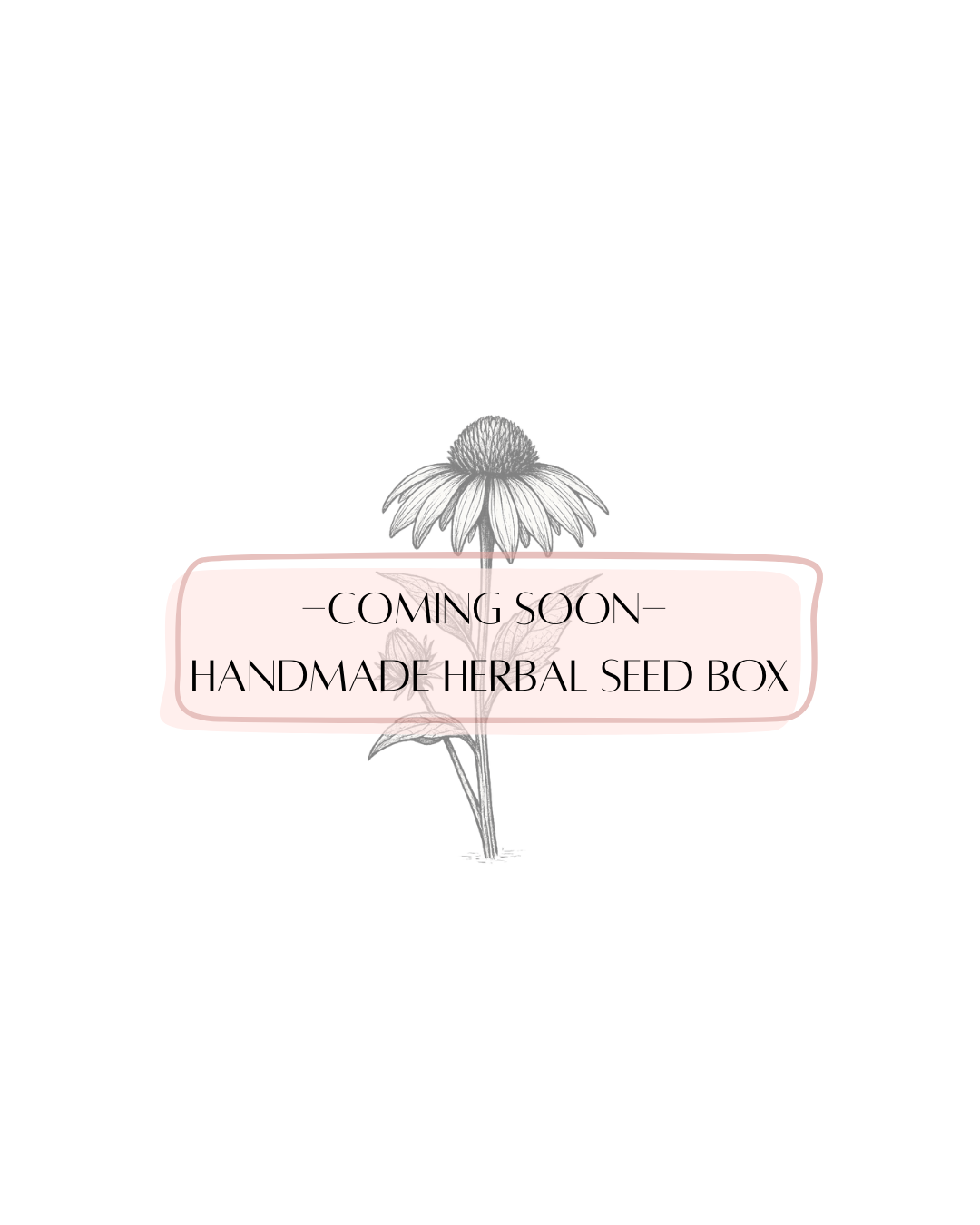 Coming soon - Handmade Herbal Seed Box.png