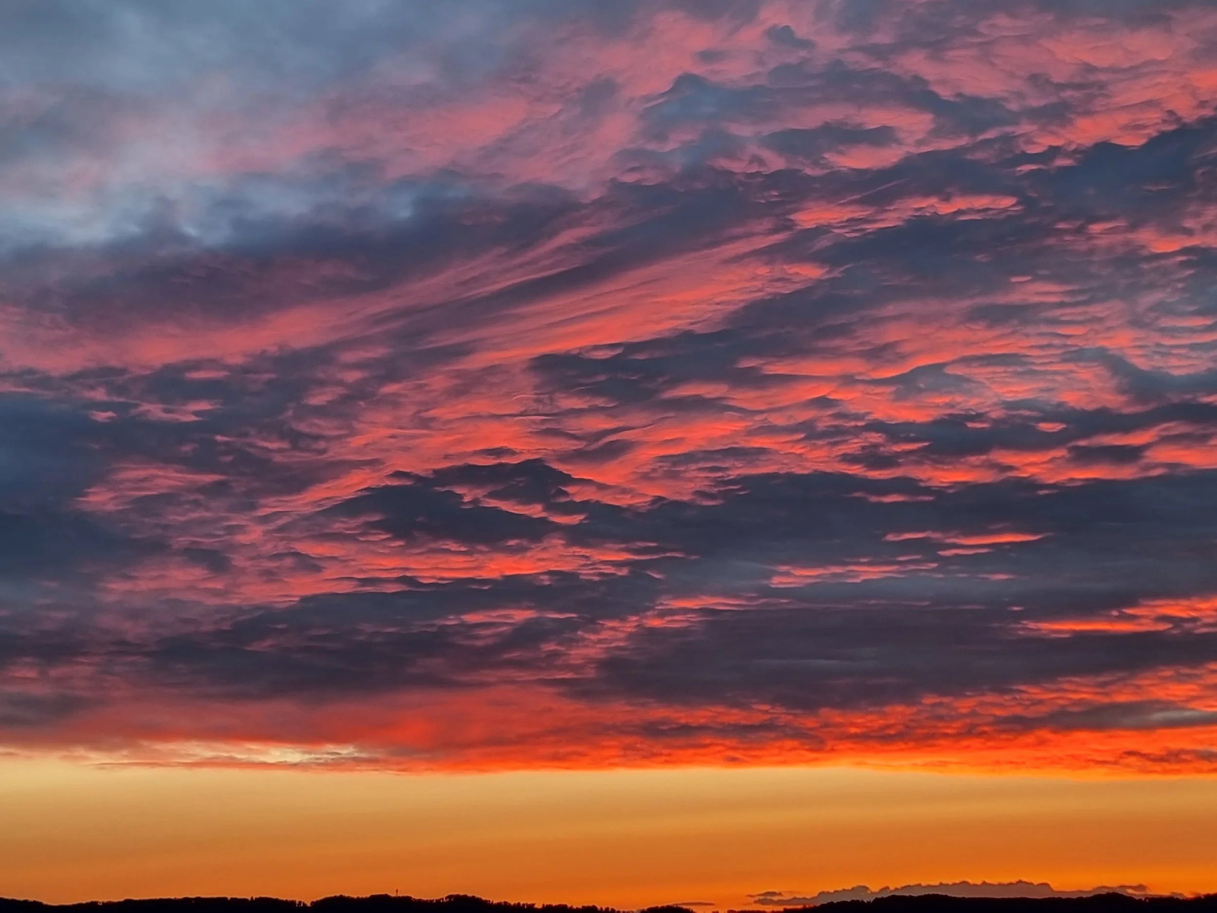 Love Bombing to Gaslighting: How to Spot Narcissistic Behaviour and Protect Your Peace