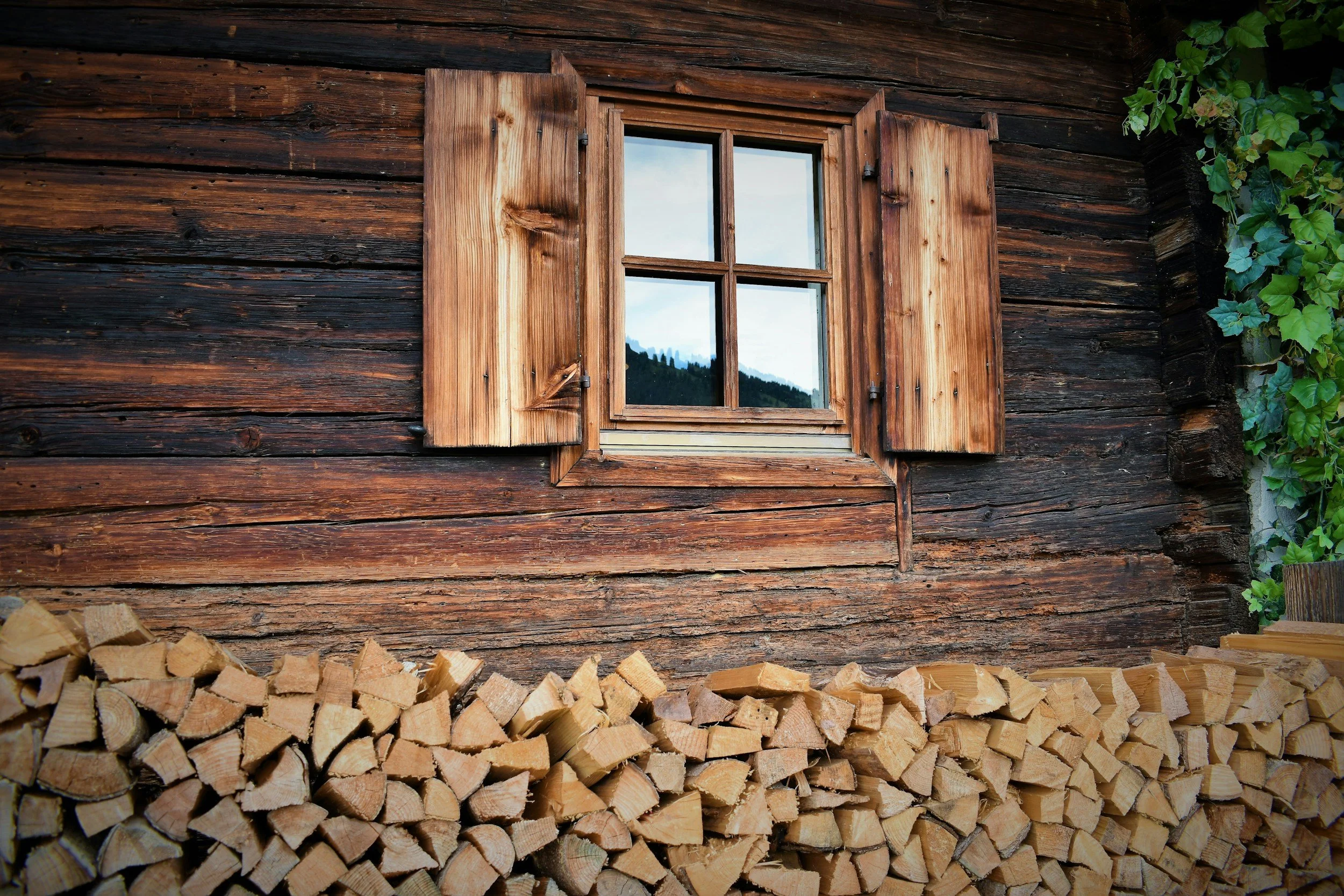 Wooden house wall with a glass window and open wooden shutters, firewood stacked underneath, and green ivy growing on the right side.