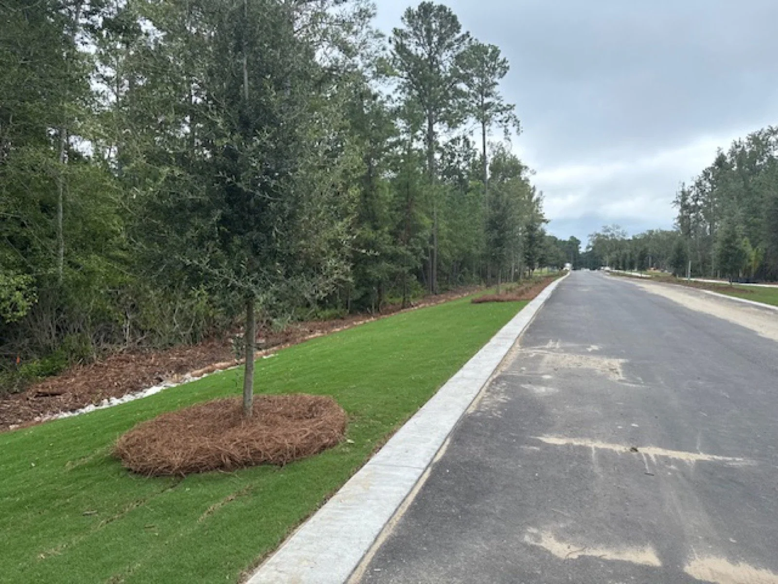 Del Webb Point Hope-Receieved-081525-5.jpeg