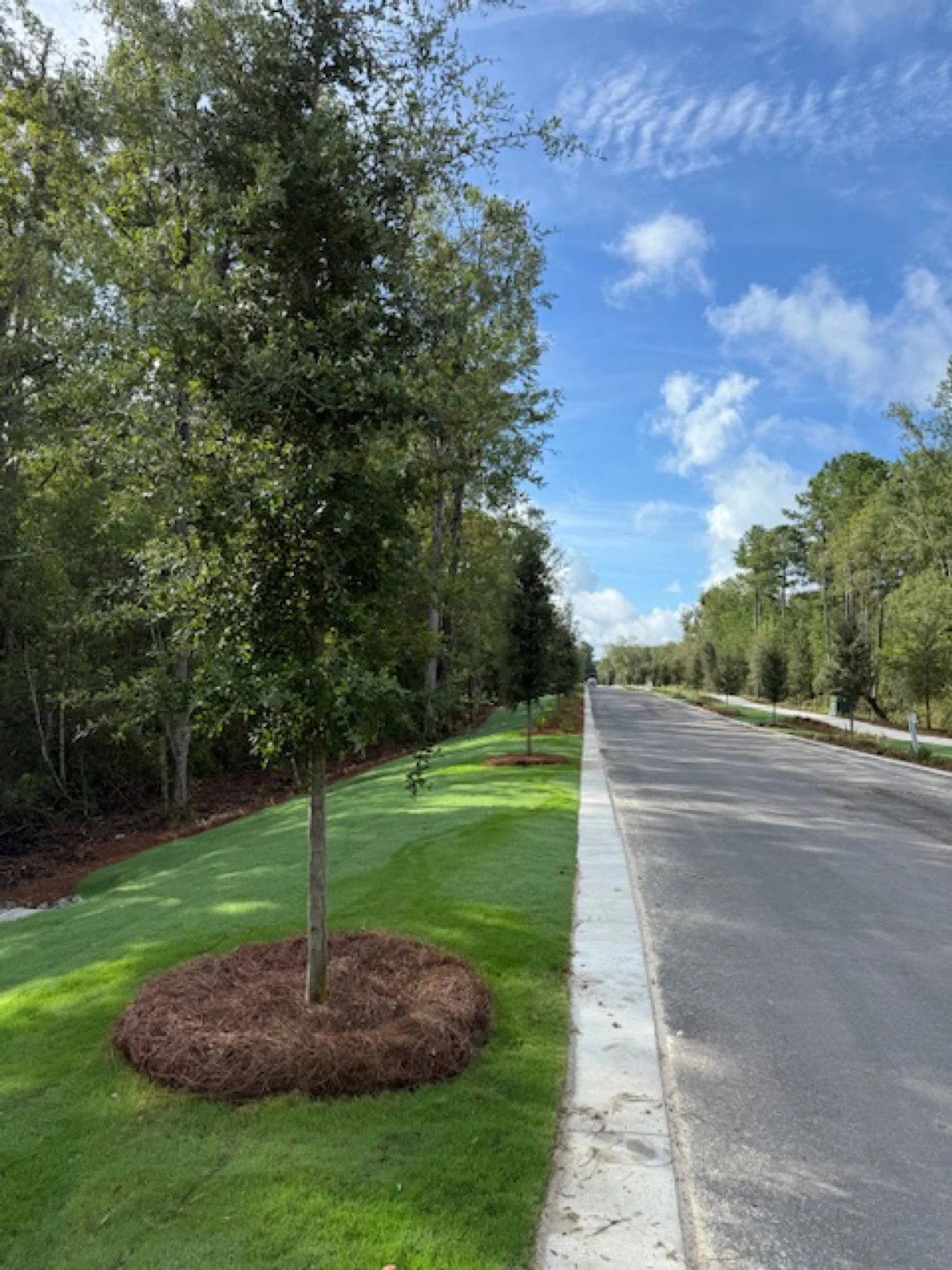 Del Webb Point Hope-Receieved-081525-1.jpeg