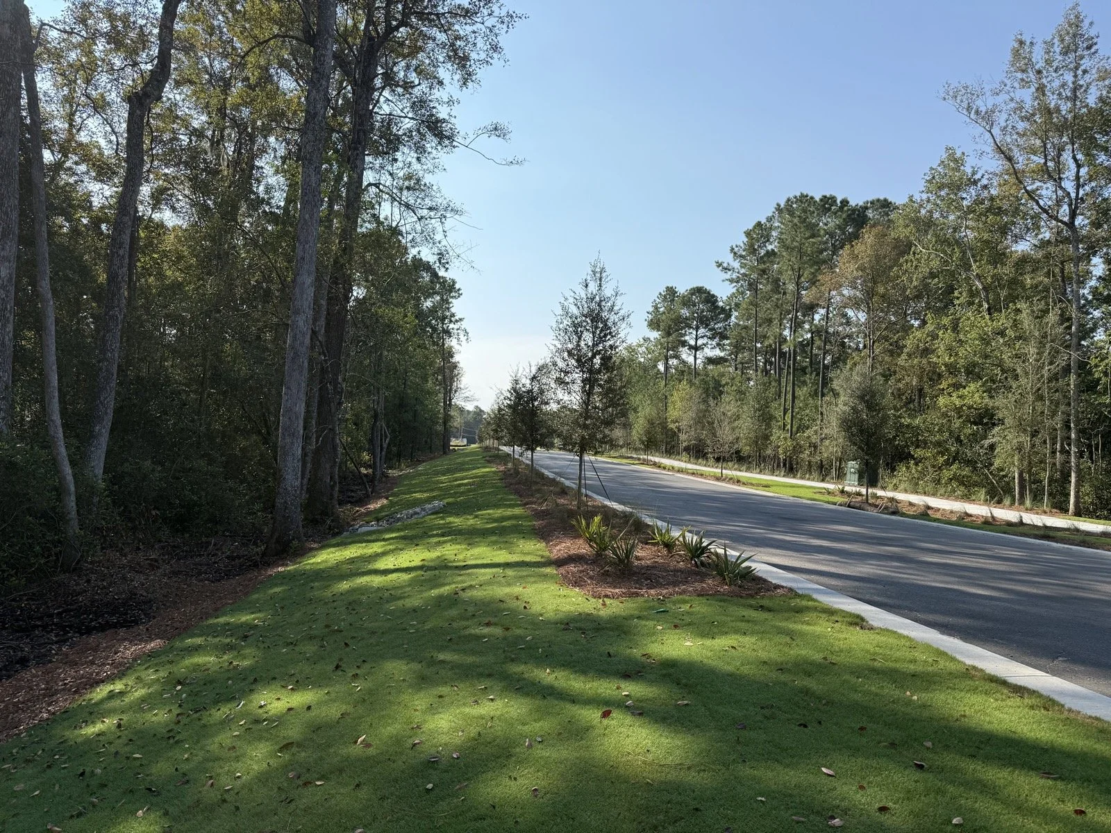 Del Webb Point Hope-IMG_2799.jpg