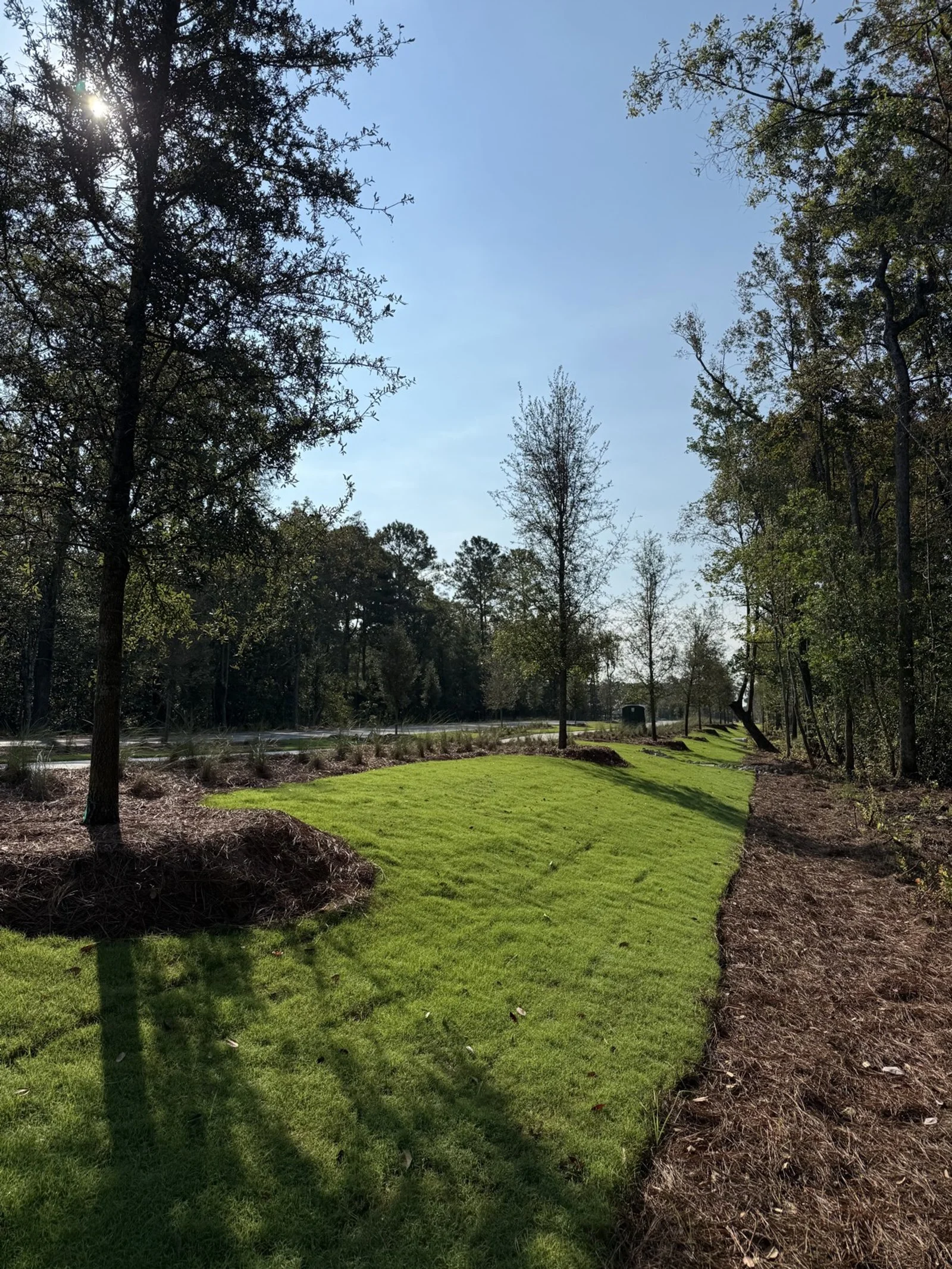 Del Webb Point Hope-IMG_2795.jpg