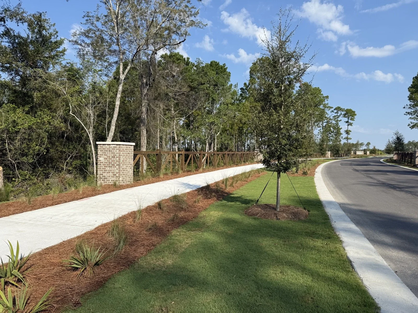 Del Webb Point Hope-IMG_2793.jpg