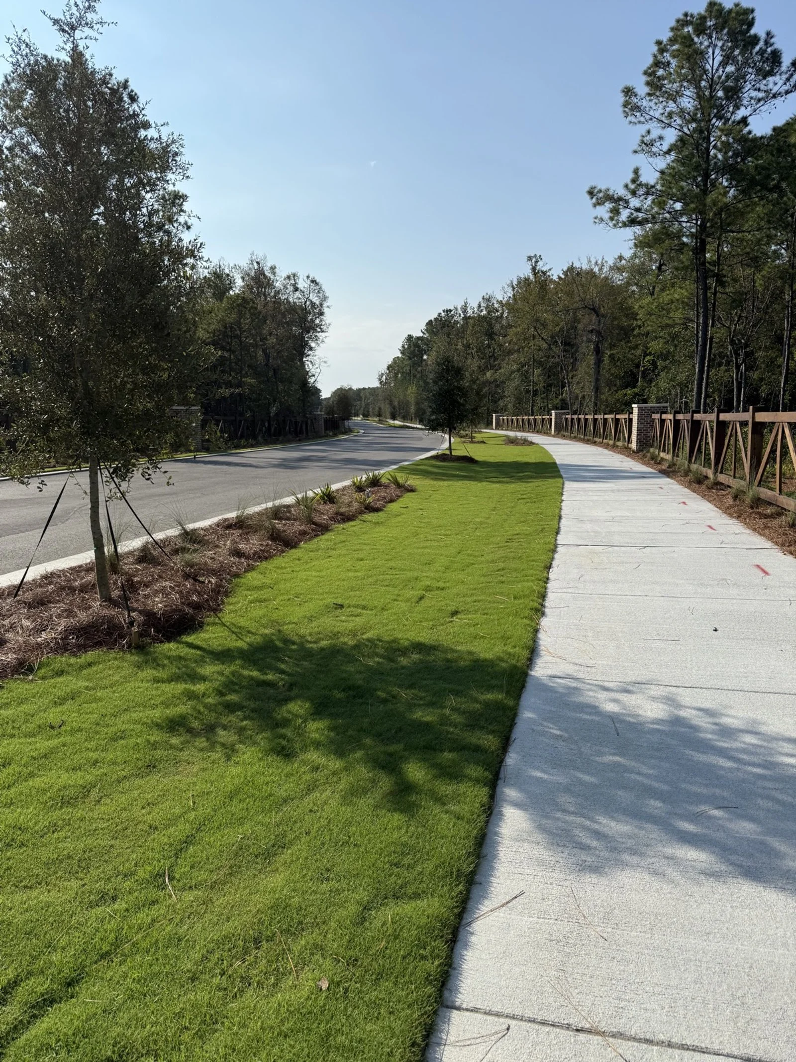 Del Webb Point Hope-IMG_2789.jpg