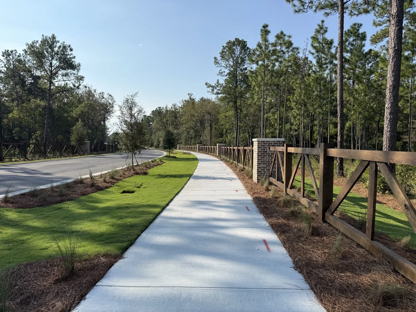 Del Webb Point Hope-IMG_2785.jpg