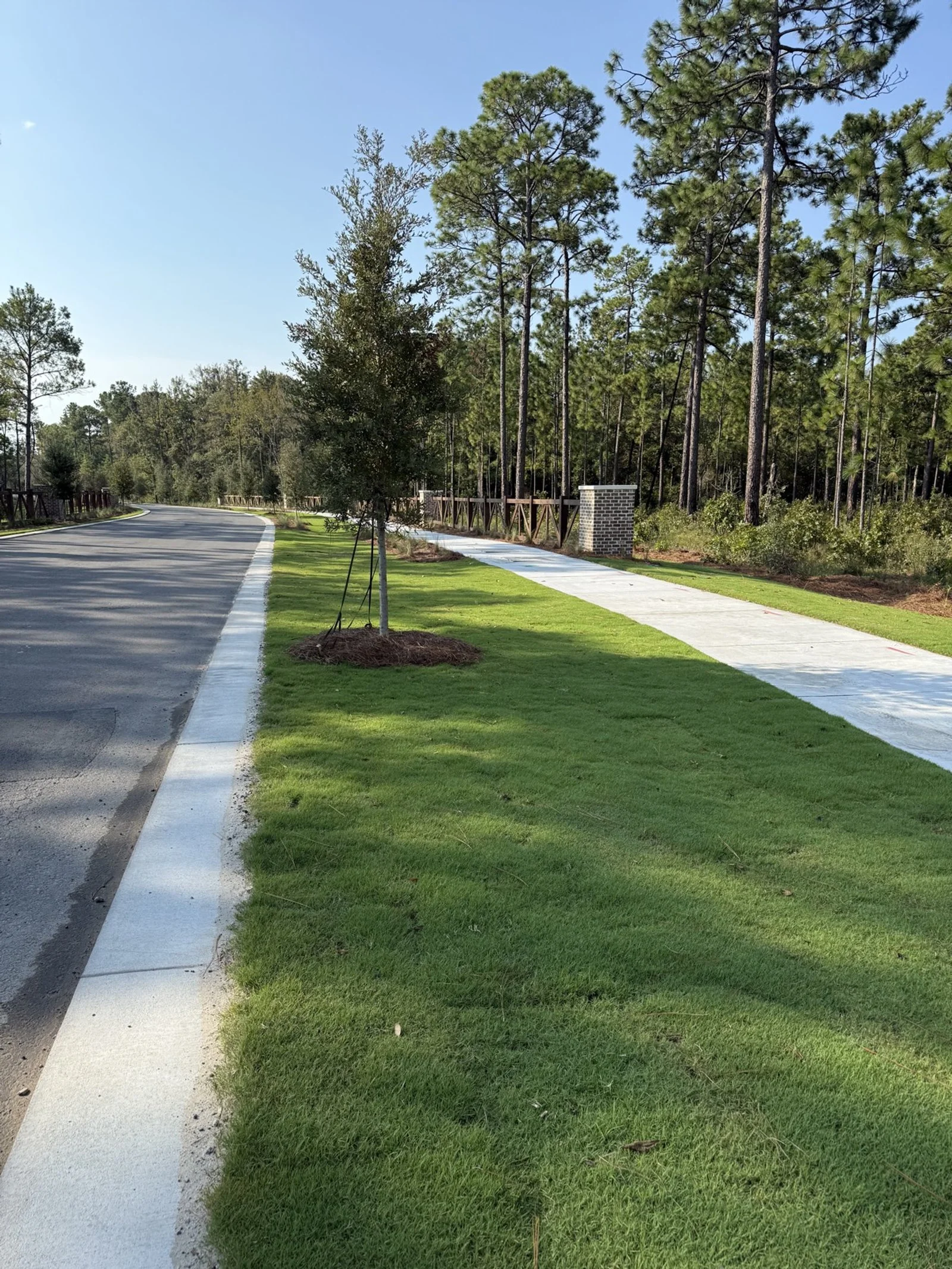 Del Webb Point Hope-IMG_2783.jpg