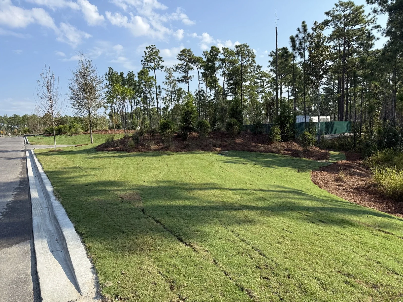 Del Webb Point Hope-IMG_2782.jpg