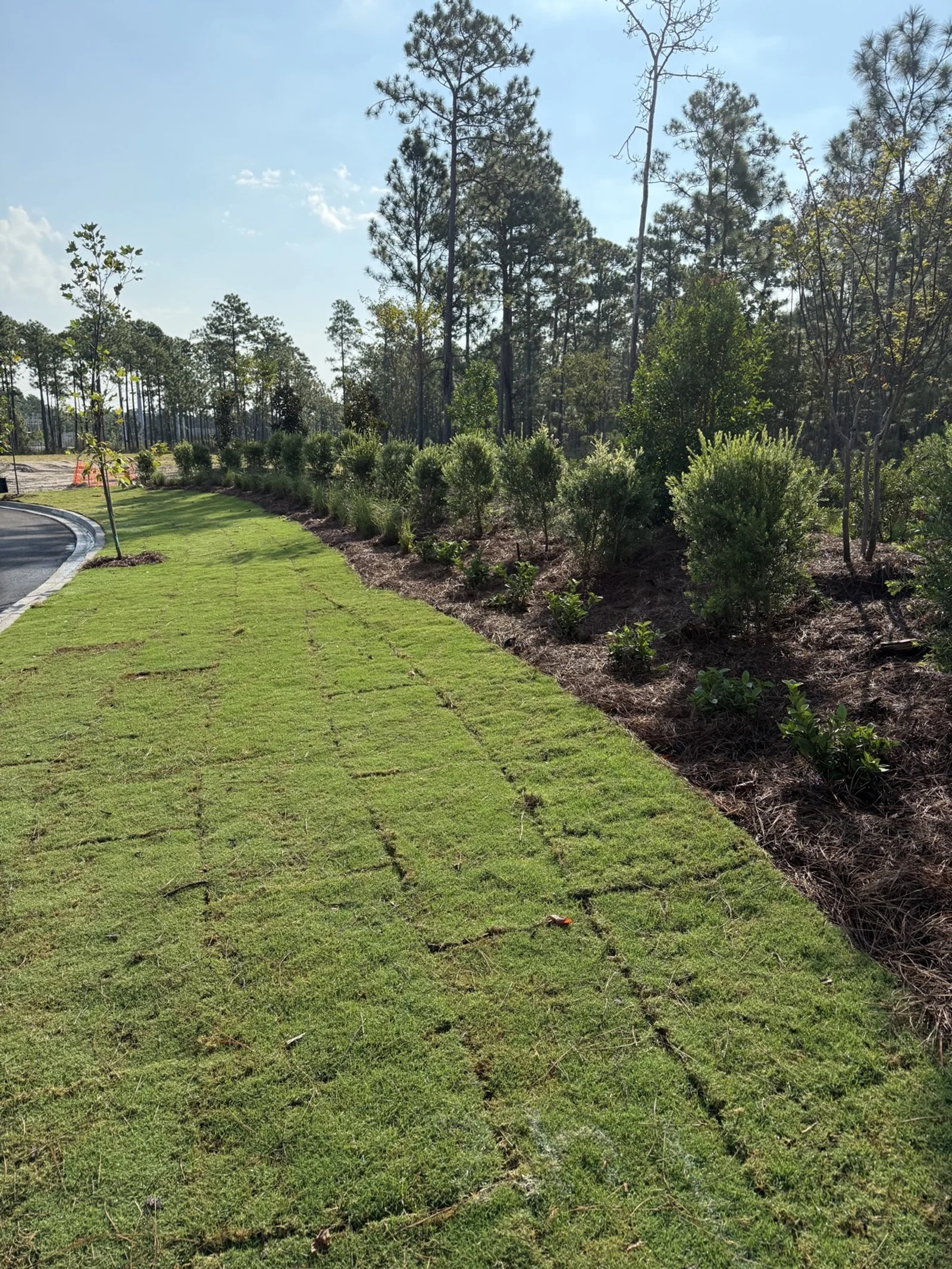 Del Webb Point Hope-IMG_2779.jpg