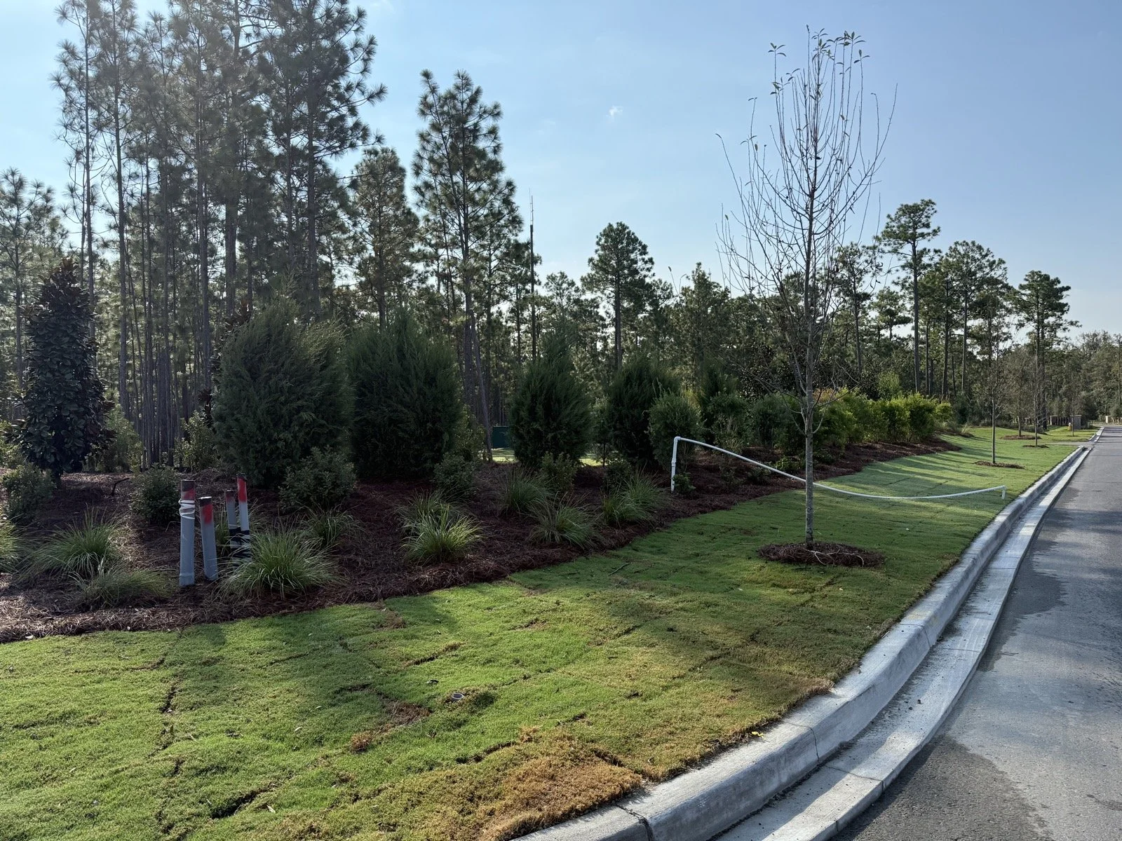 Del Webb Point Hope-IMG_2778.jpg