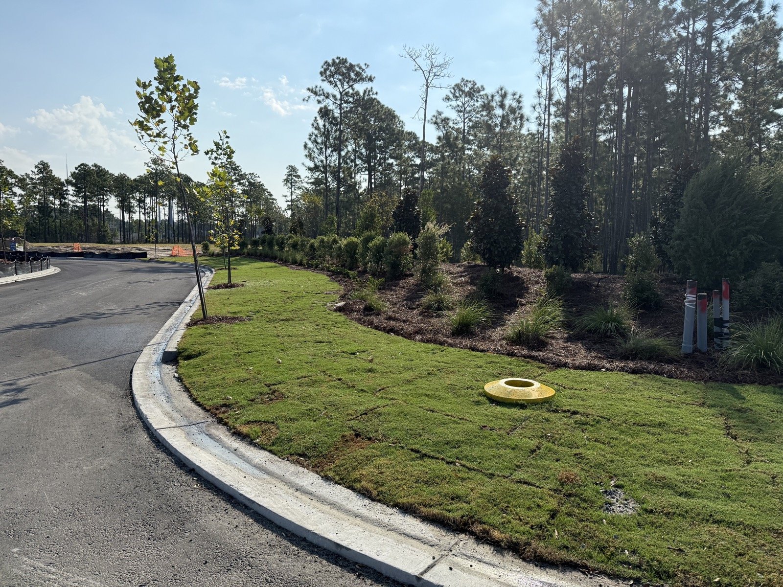 Del Webb Point Hope-IMG_2777.jpg