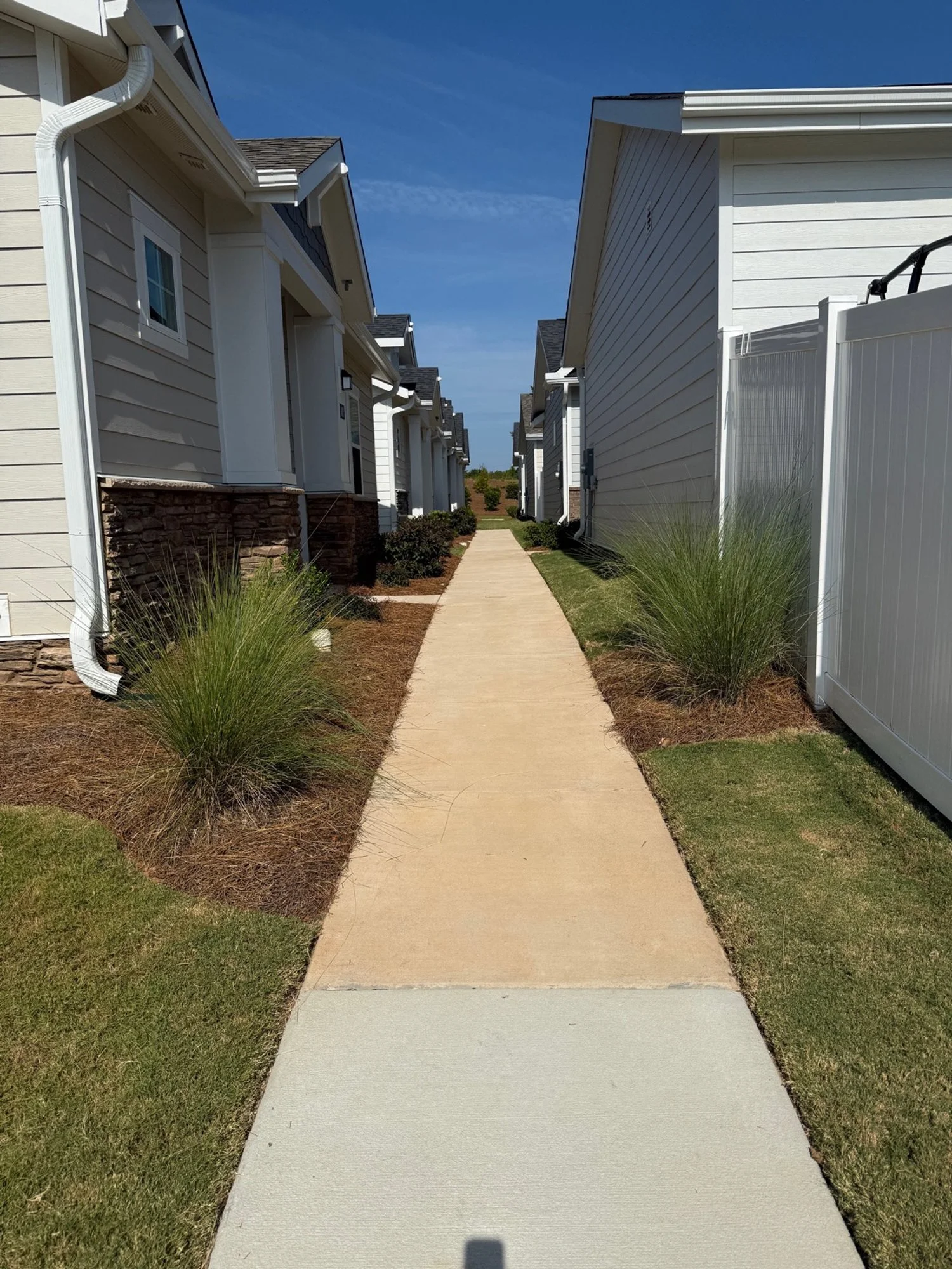 Yardly Monroe-IMG_1332.JPG