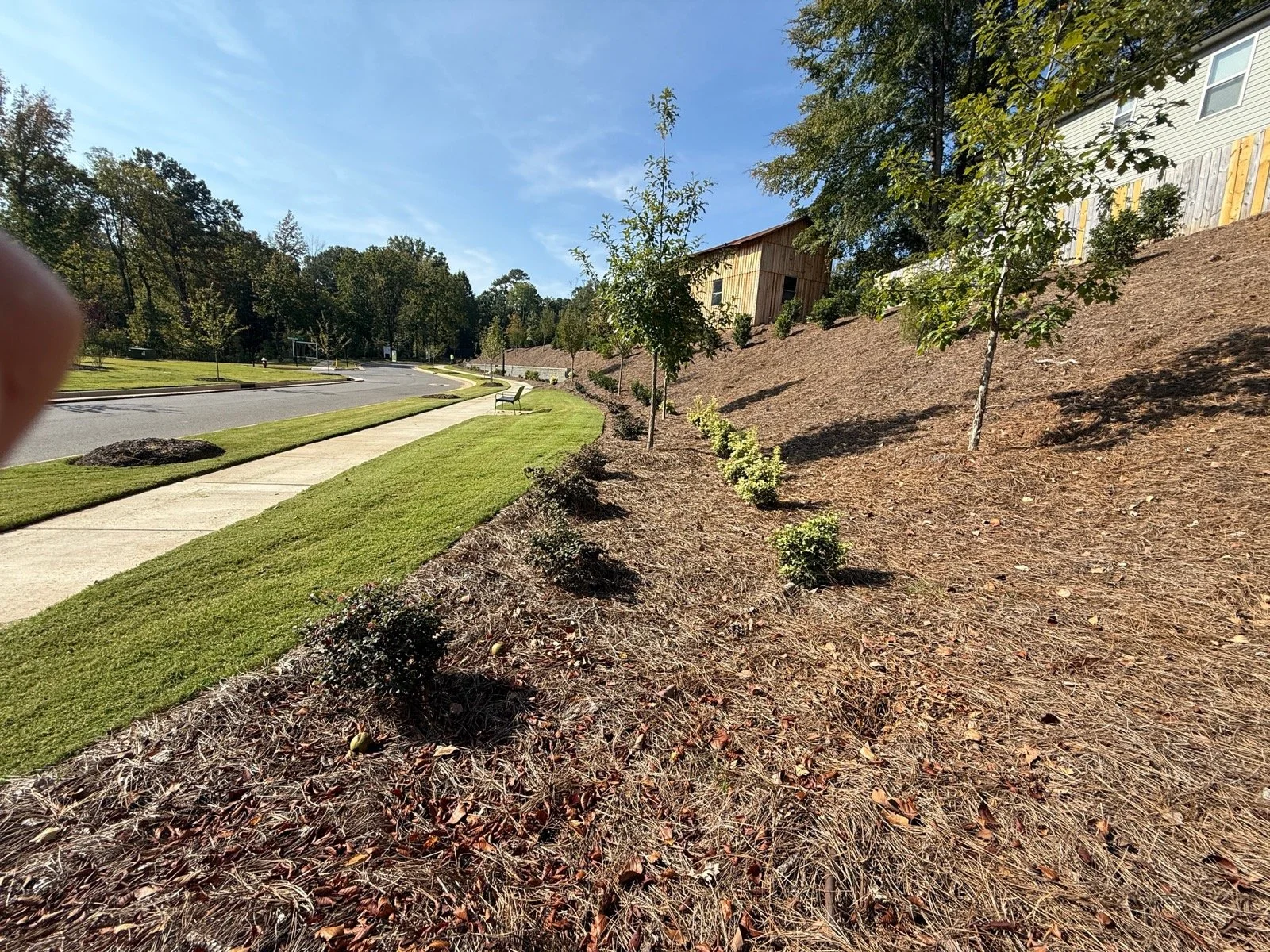 Old Town Village-IMG_1316.JPG