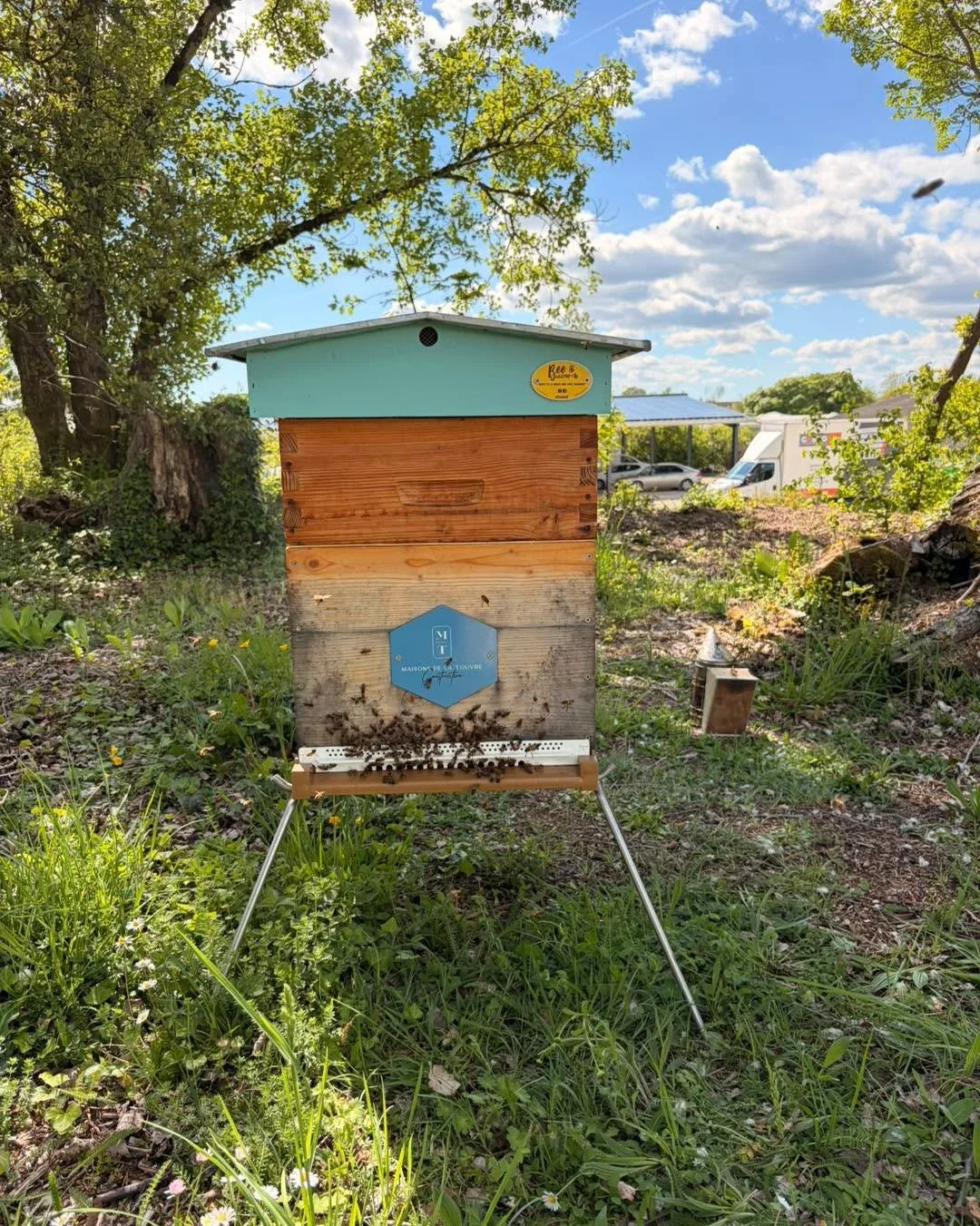 Un magnifique soleil illumine la floraison de l&rsquo;acacia!
Sur le site de notre partenaire Maisons de la Touvre, les abeilles sont pr&ecirc;tes 🐝&hellip;
#abeilles #Biodiversit&eacute; #environement #maisonsdelatouvre #miel #beewizme