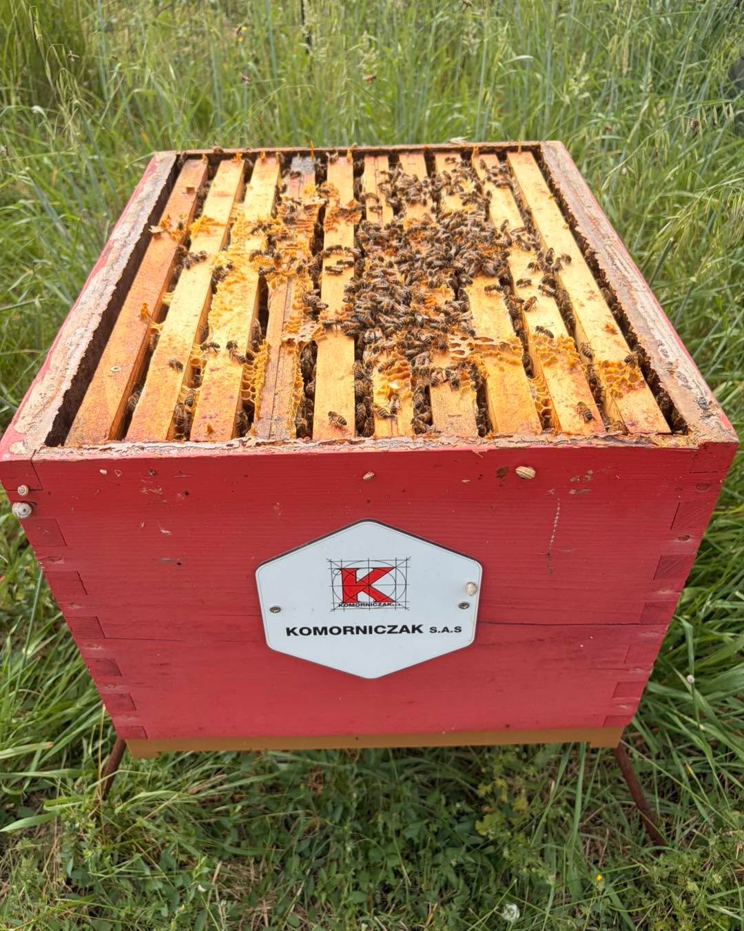 Deux colonies d&rsquo;abeilles qui &oelig;uvrent &agrave; la construction de leurs rayons au rythme des employ&eacute;s de Komorniczak qui &oelig;uvrent de leurs c&ocirc;t&eacute; &agrave; la construction de vos projets&hellip;
Merci &agrave; M. MART