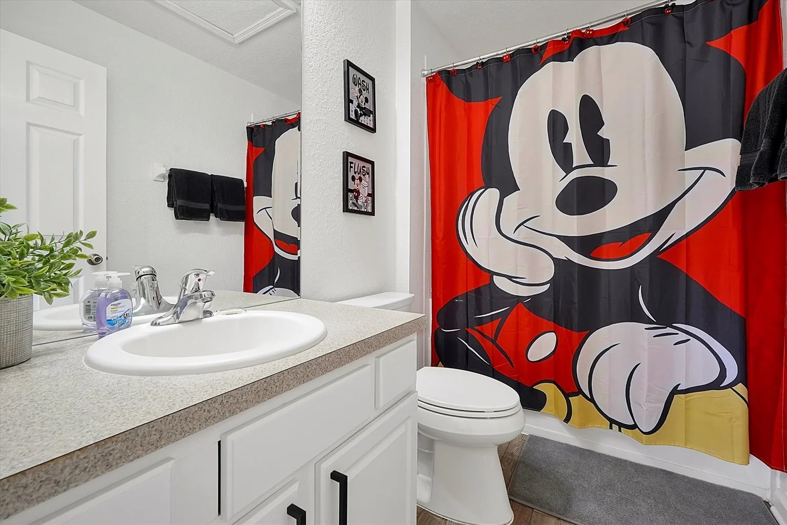Mickey Bathroom.jpg