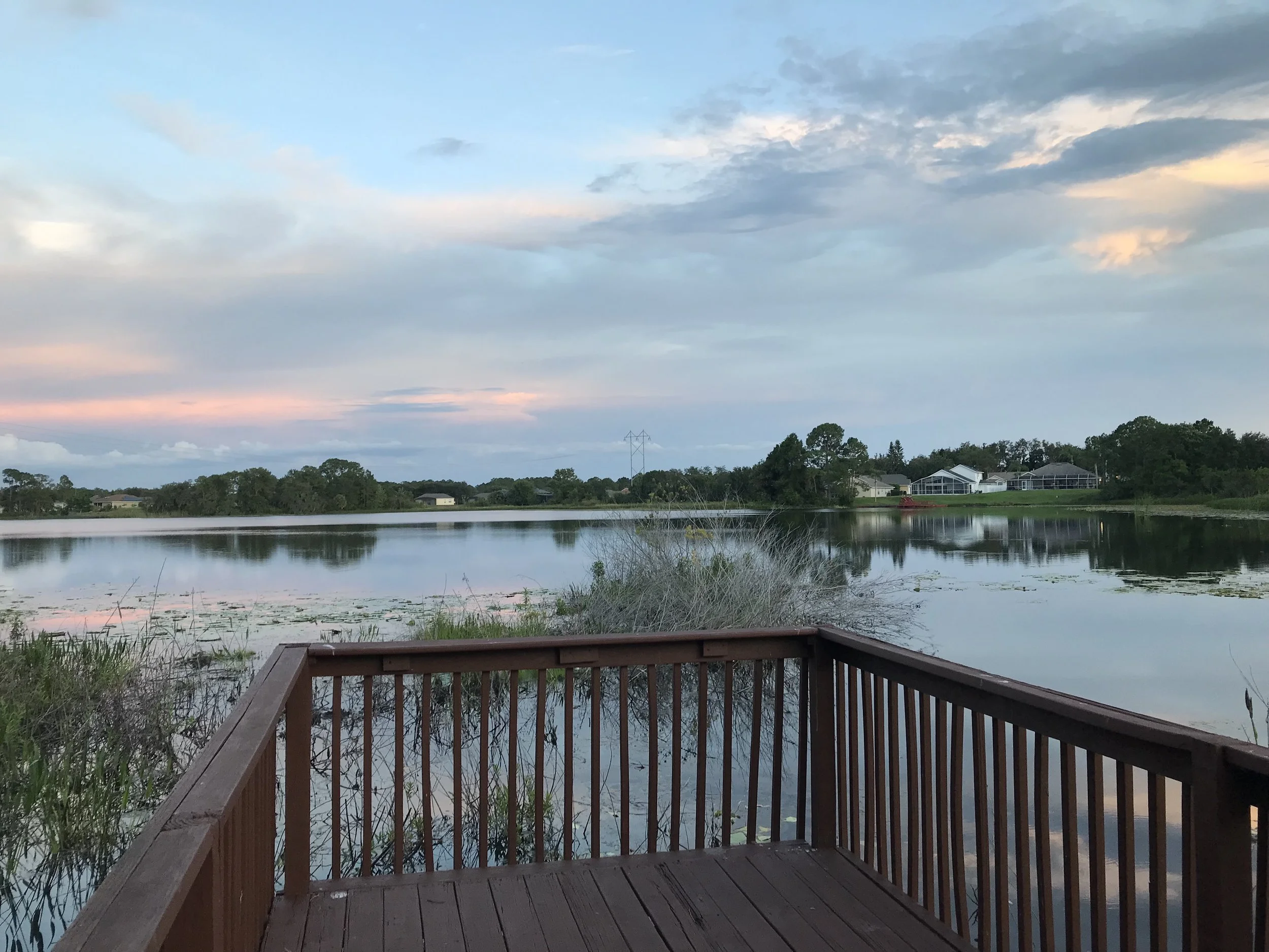 Deck view - Copy.jpg