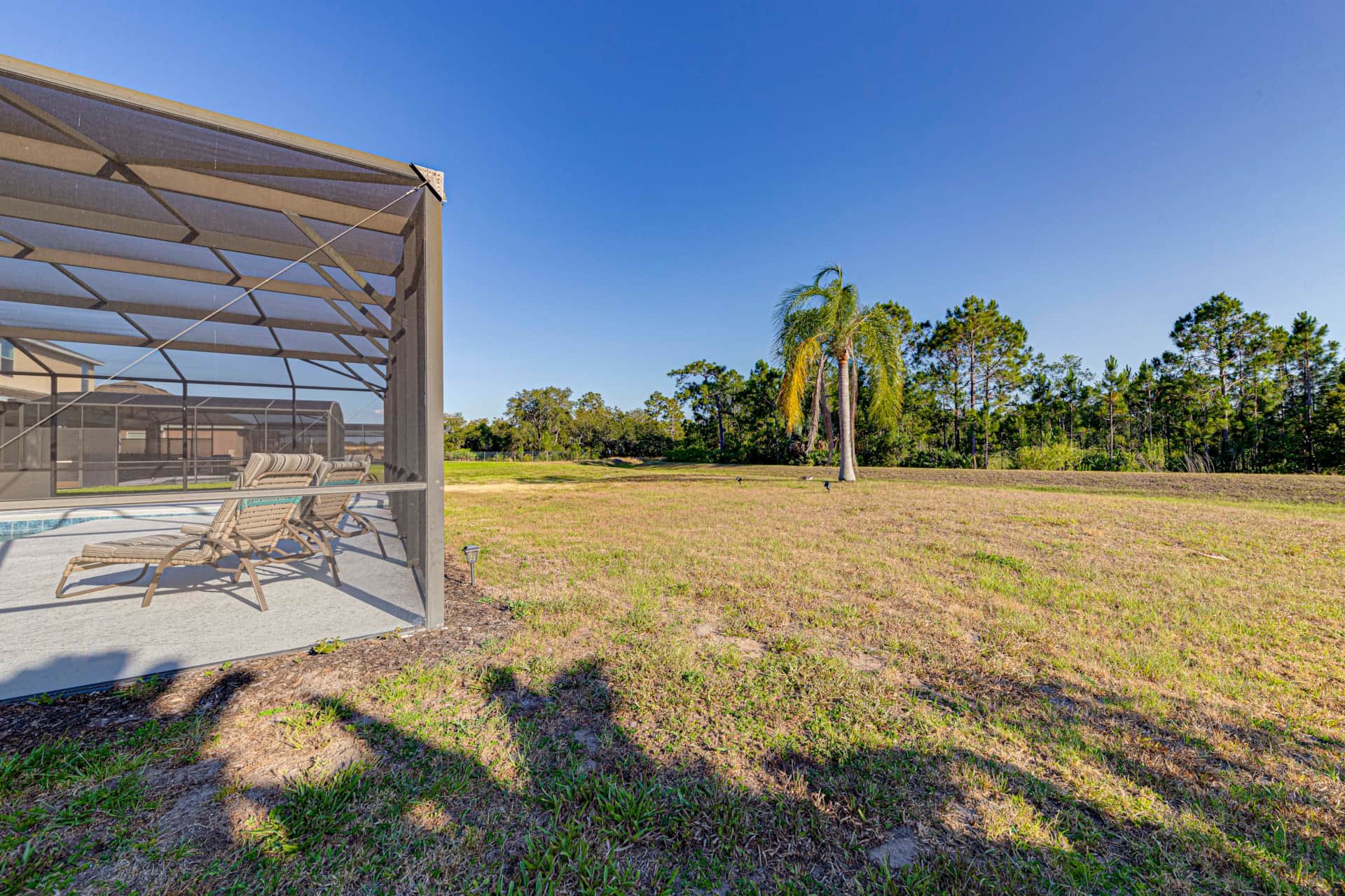 Conservation Surroundings.jpg